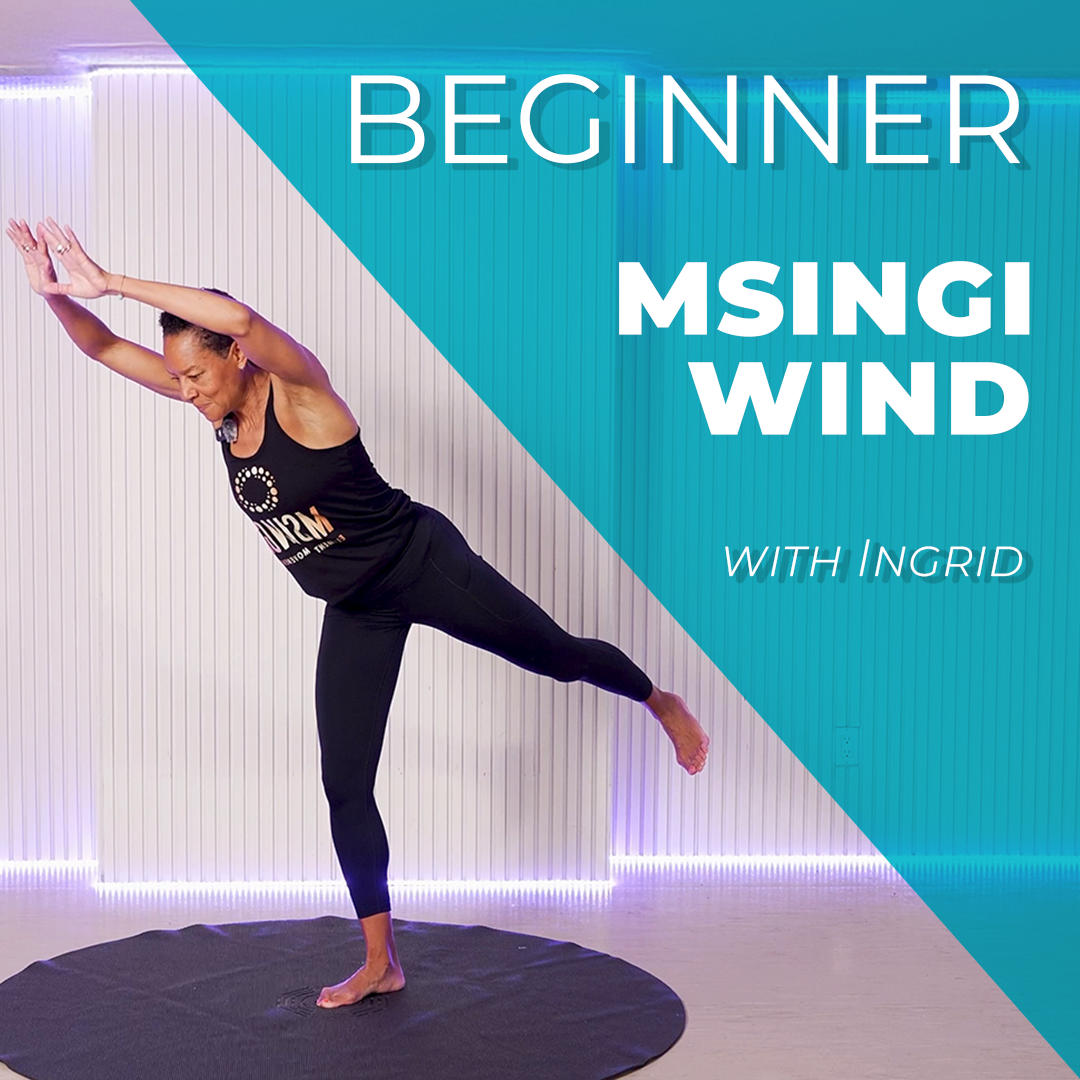 MSINGI Wind for Balance and Mobility