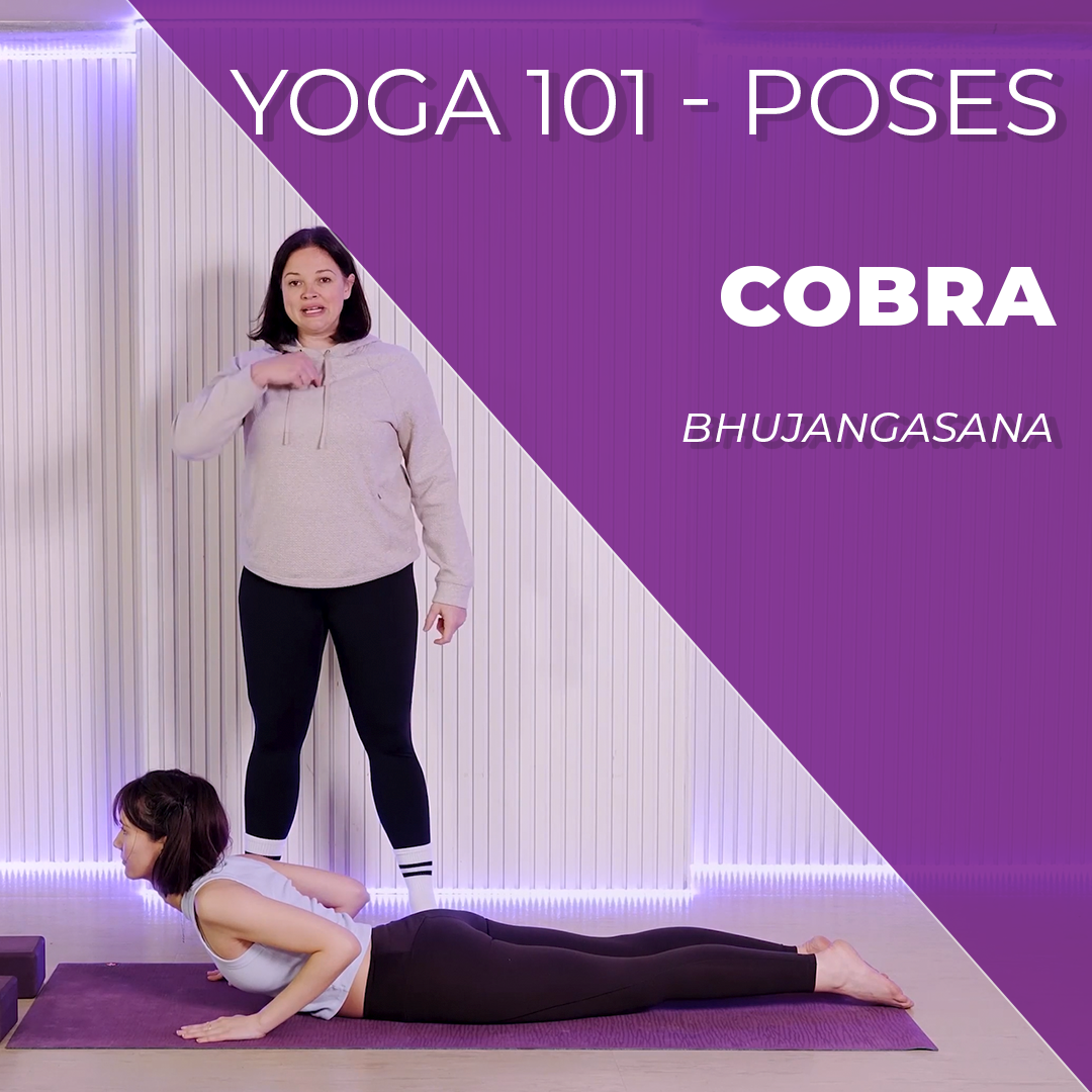 How to do Cobra