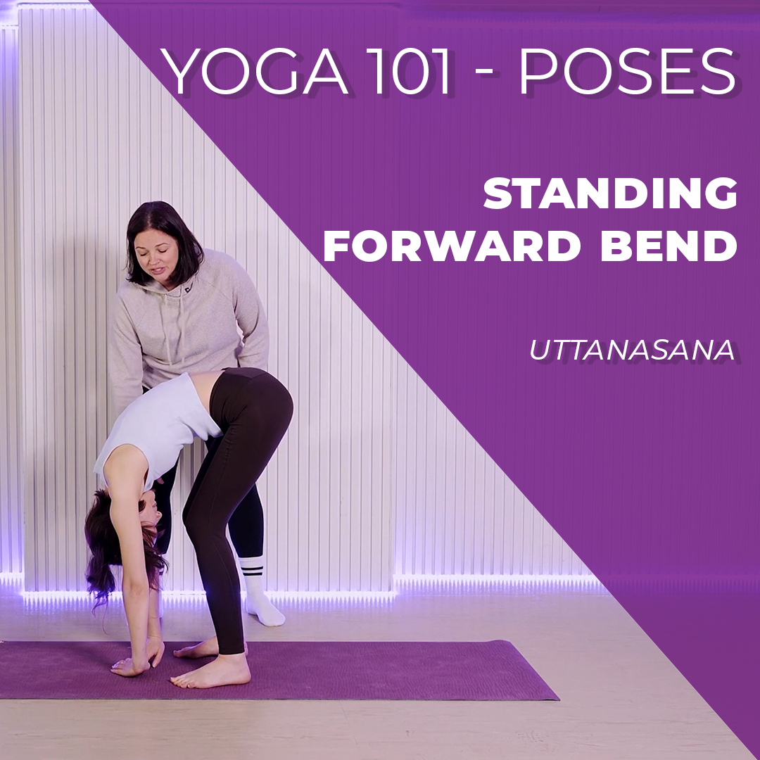 How to do Standing Forward Bend