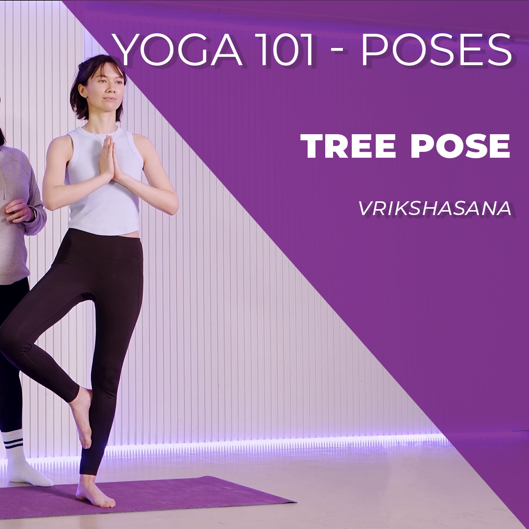 How to do Tree Pose