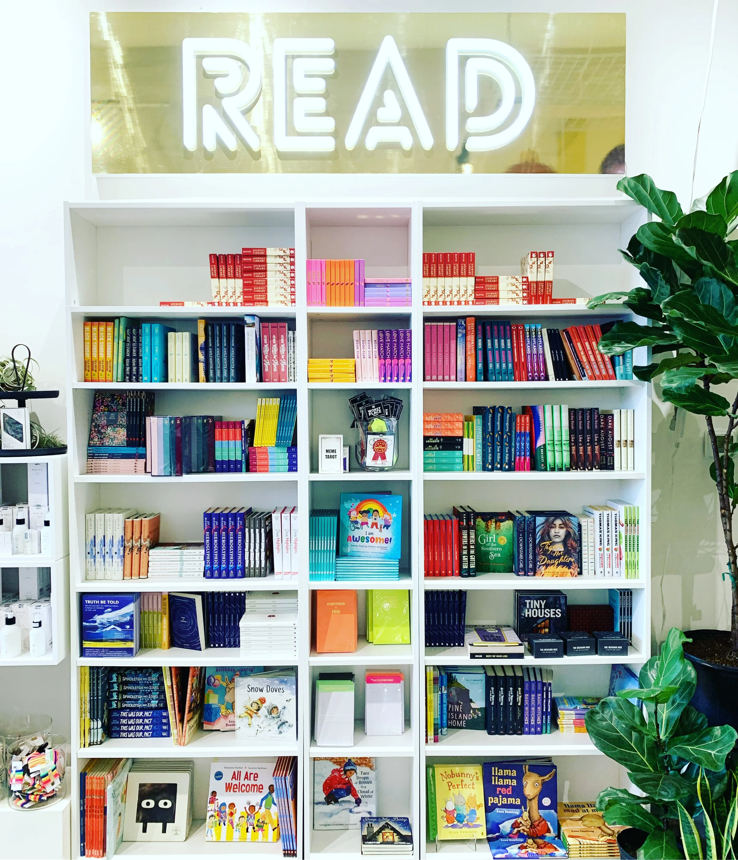 Awesome Author Visit!