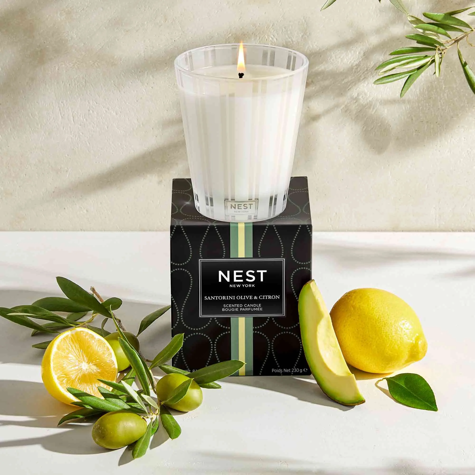 NEST Fragrances