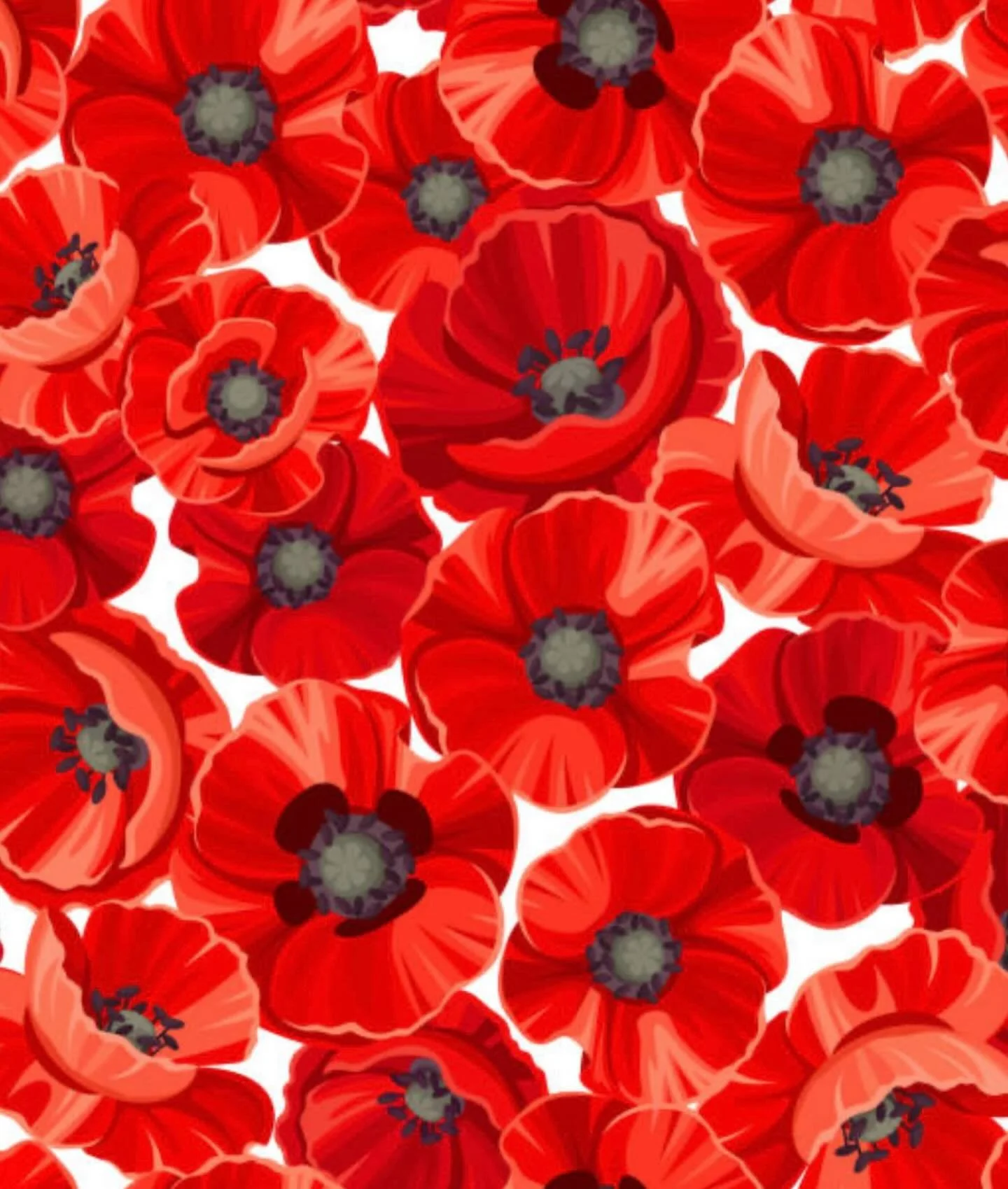 Lest we forget. 

Today we pause to remember, thank, and honour.
