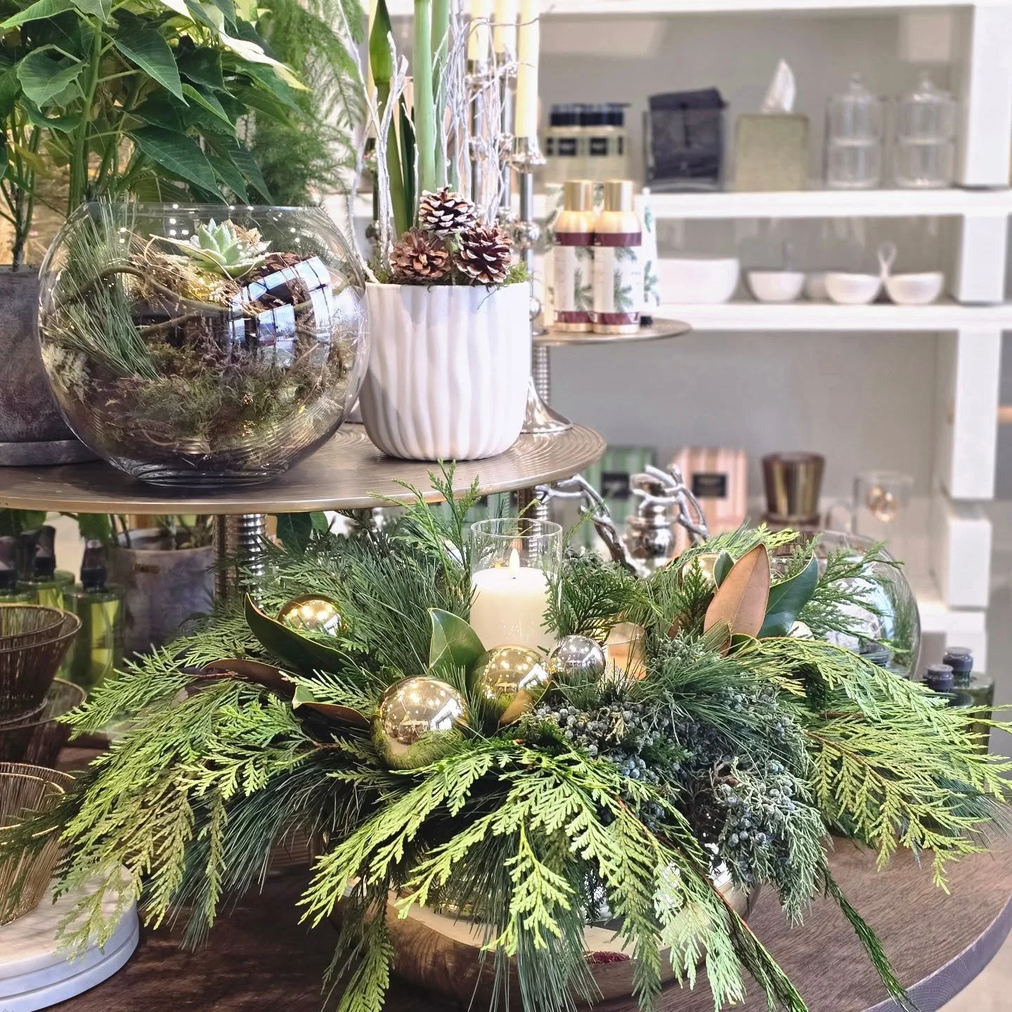 Seasonal magic inside.✨️

#swishandcompany