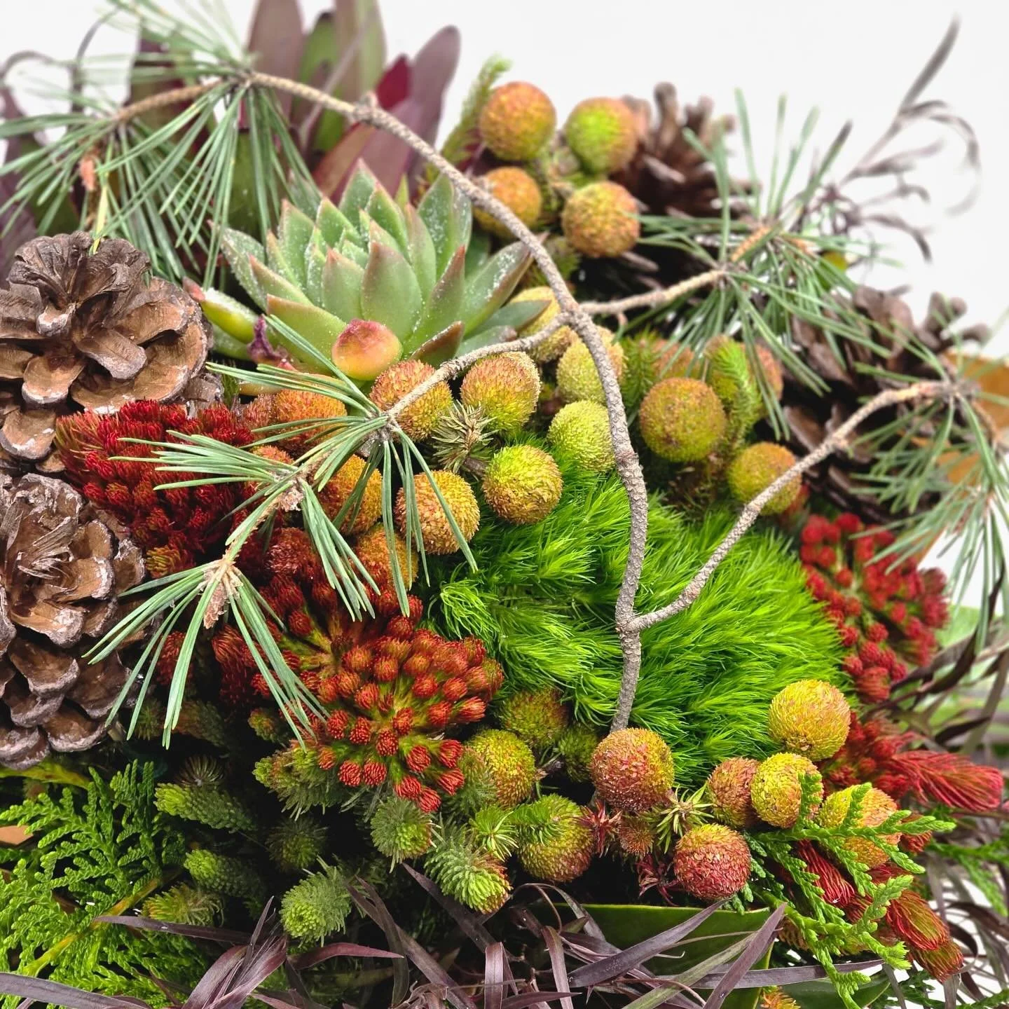 Holiday stress? We don&rsquo;t know her. 

#swishandcompany