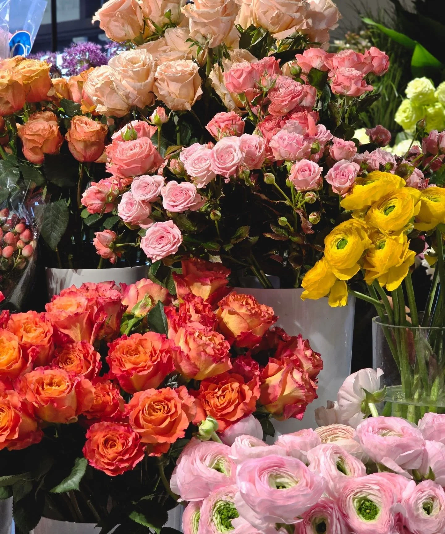 BYOV SALE is back! 

Have a vase that NEEDS fresh blooms or a fresh plant for the weekend? 

This Thursday and Friday, BYOV (Bring Your Own Vase) and get 30% off your custom floral arrangement or fresh plant.

Drop by and drop off your vase&mdash;see