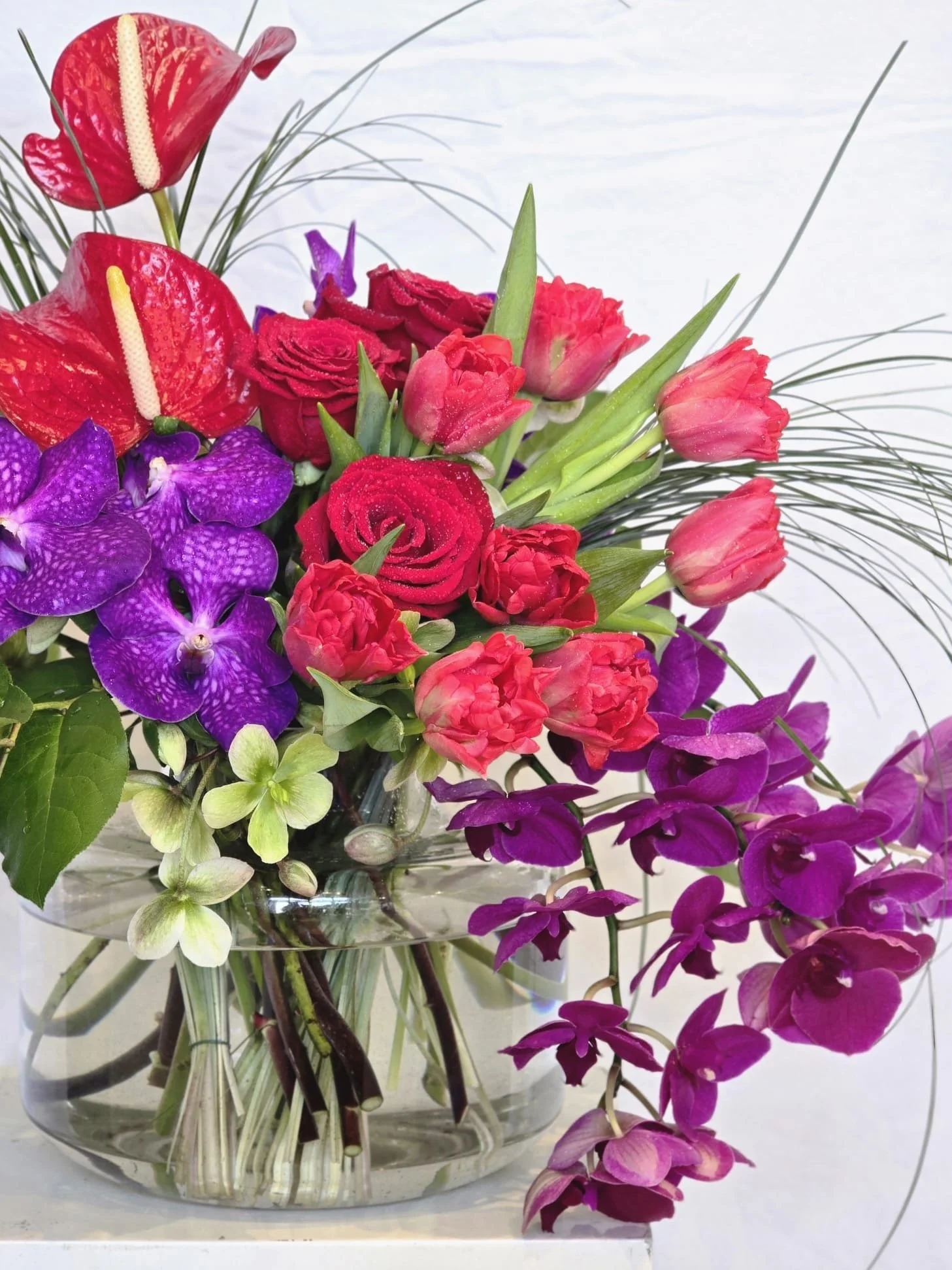 Letters from Paradise | $750 