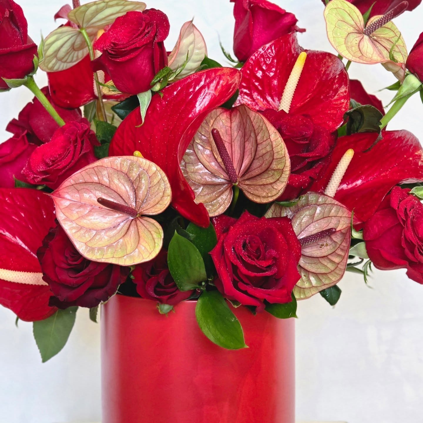 To our loves,

Happy Valentine's Day!

XoXo
S+C