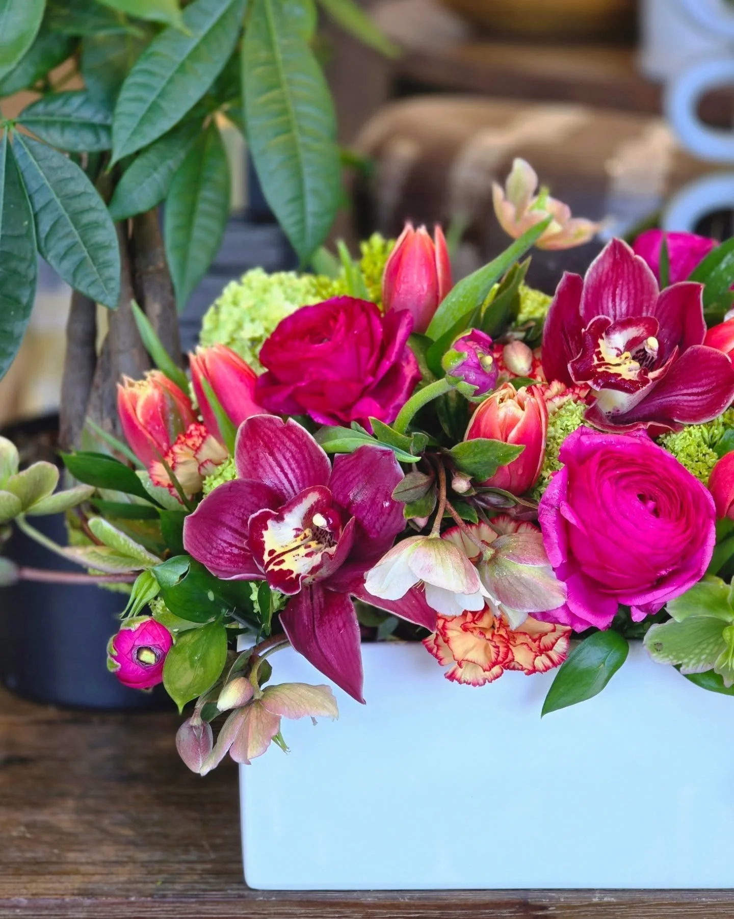 Just a little Swish moment. ❤️

#swishandcompany