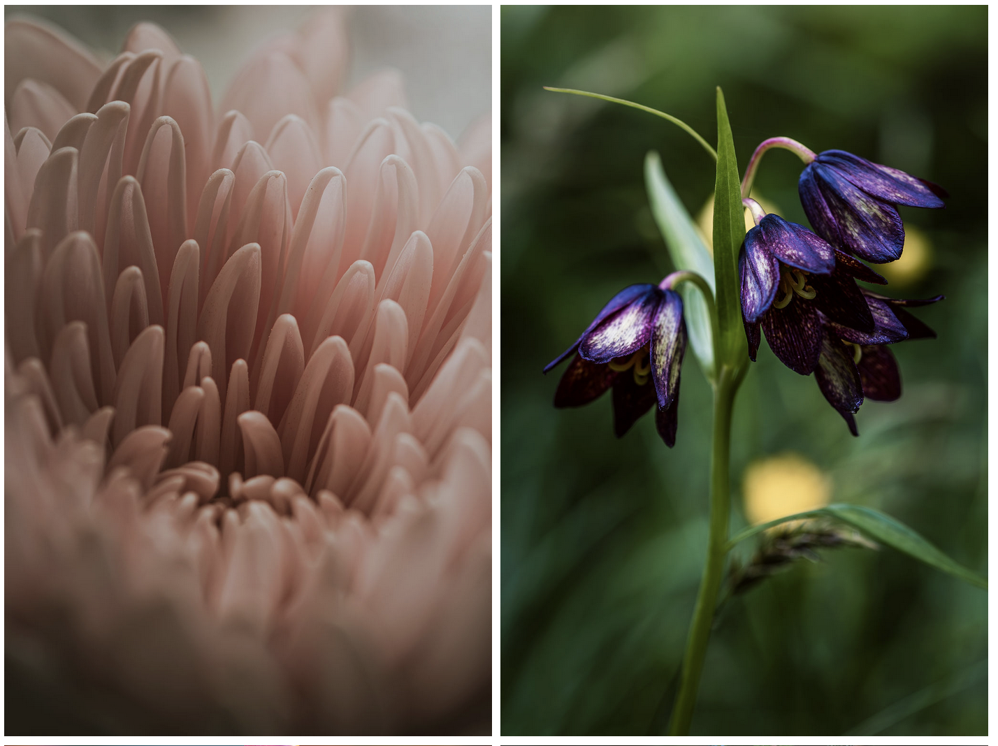 Screenshot 2026-03-25 at 2.37.49 PM.png