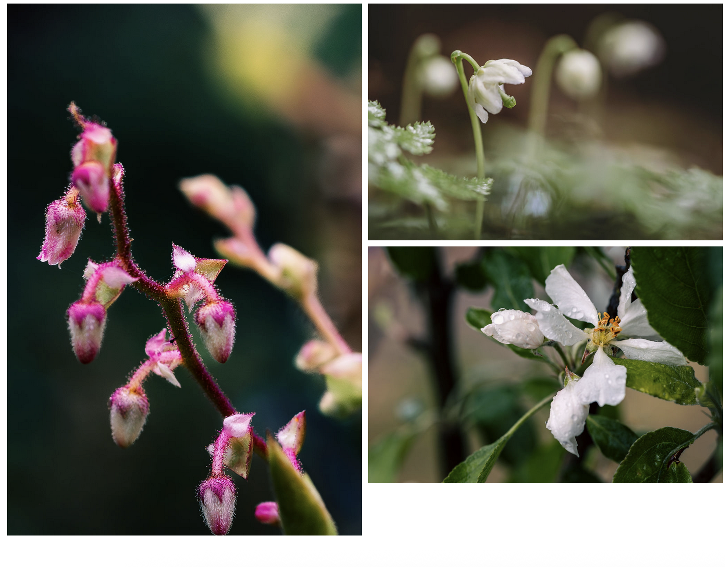 Screenshot 2026-03-25 at 2.38.00 PM.png