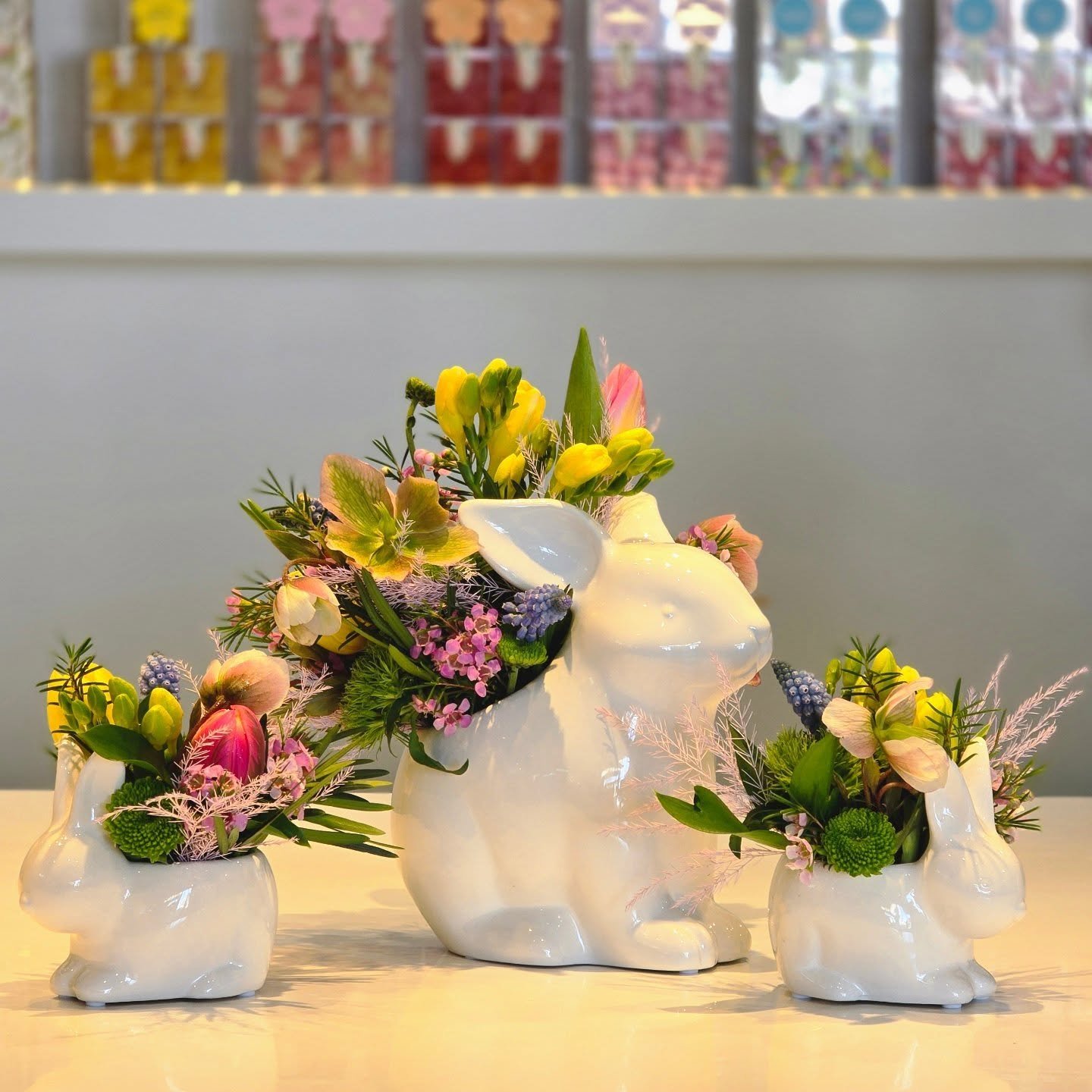 Order your Easter flowers now!

Limited quantities available so grab these cuties before they HOP out of here.

#easteryeg #swishandcompany