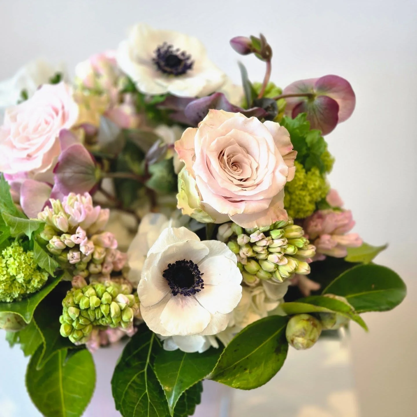 From the Garden collection: 🤍 The Camelia 🤍

For our forever hero: Mom. 

Check out the full Mother's Day collection at the link in the bio.

#swishandcompany