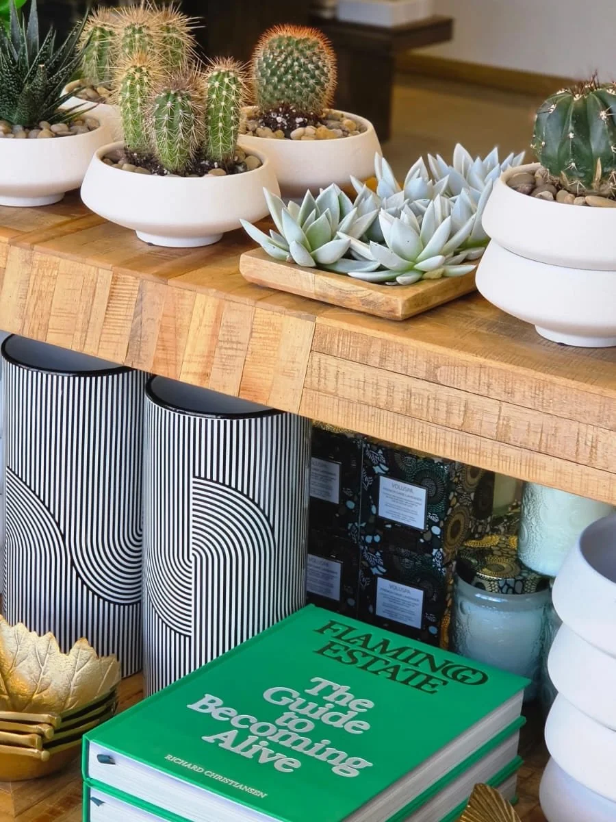 A reFRESH is what the seasons are all about. Finding beauty in this moment of growth + green.