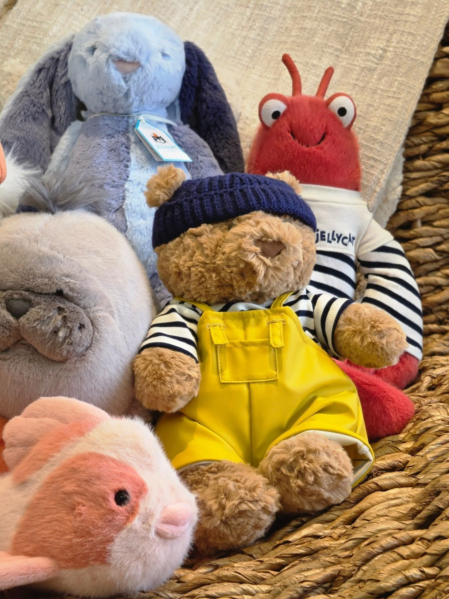 The gang's all here! ☀️Summer☀️ Jellycats have arrived and couldn't be cuter.
@jellycat

#swishandcompany #jellycat