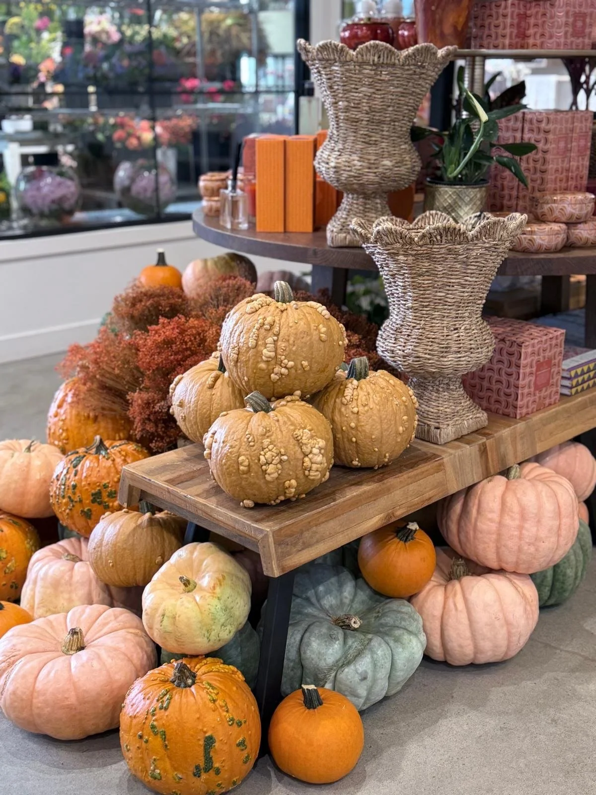 Pumpkins, fall feels &amp; all the cozy vibes 🤎🍂