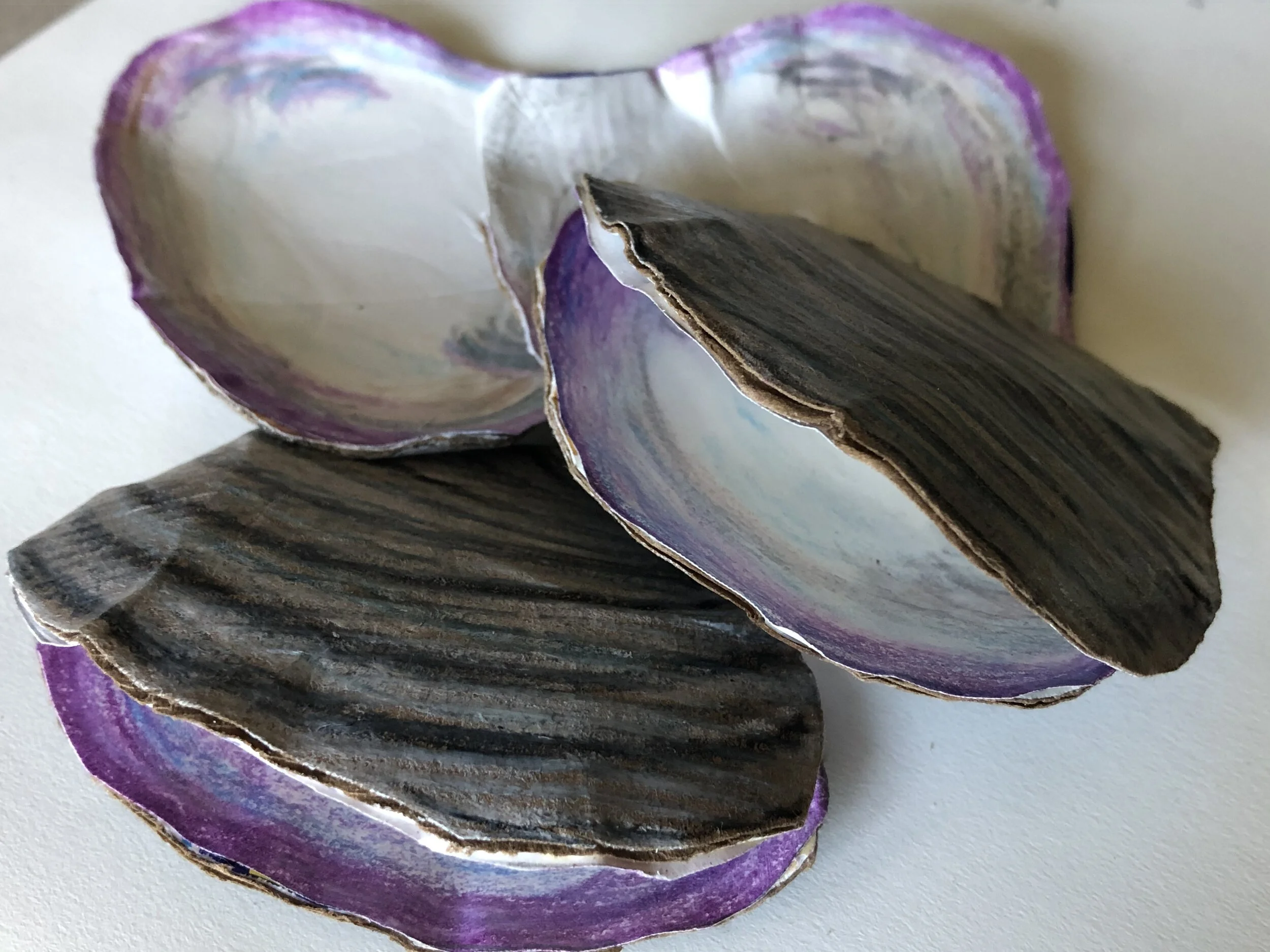 3-D clam art.jpeg