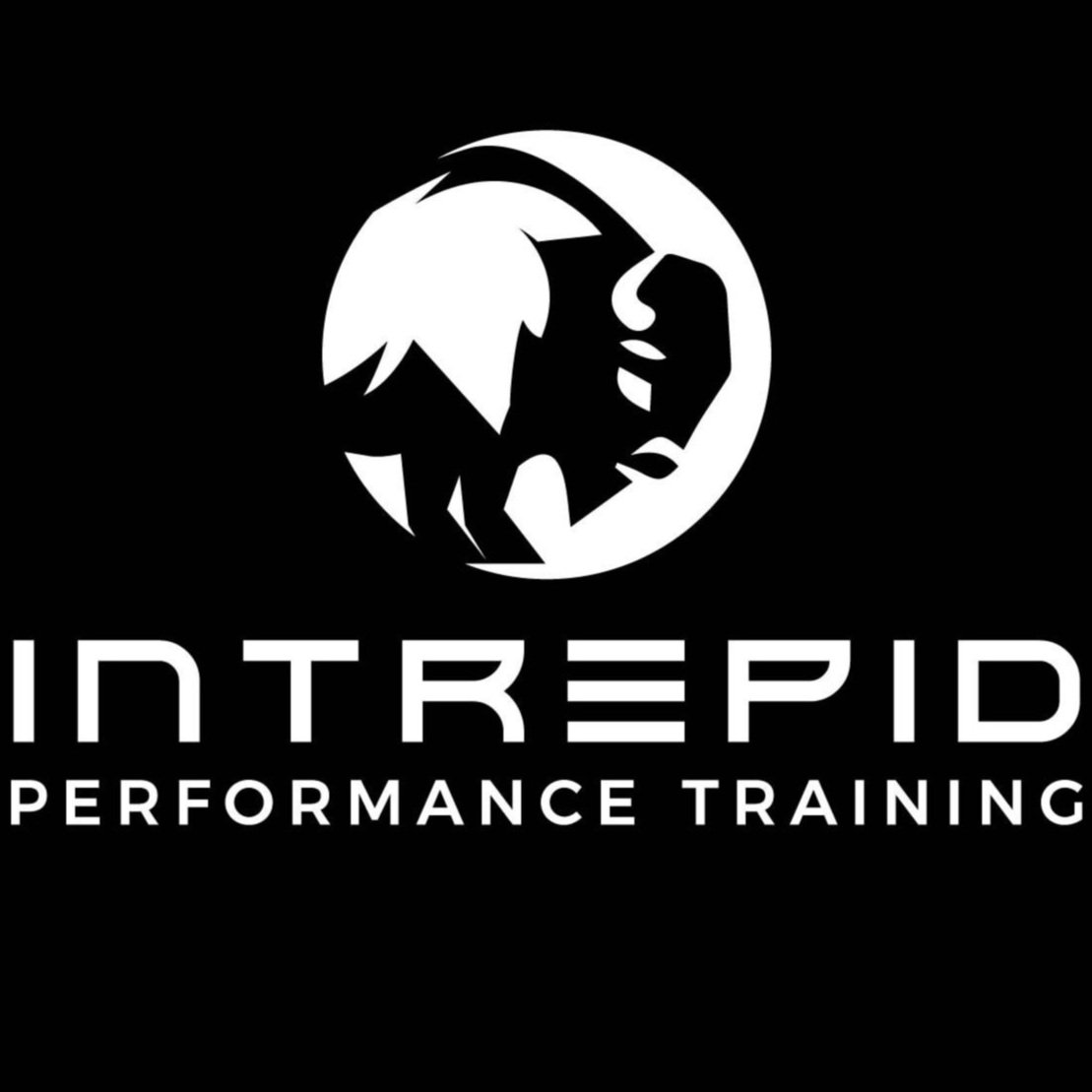 Intrepid Performance Training