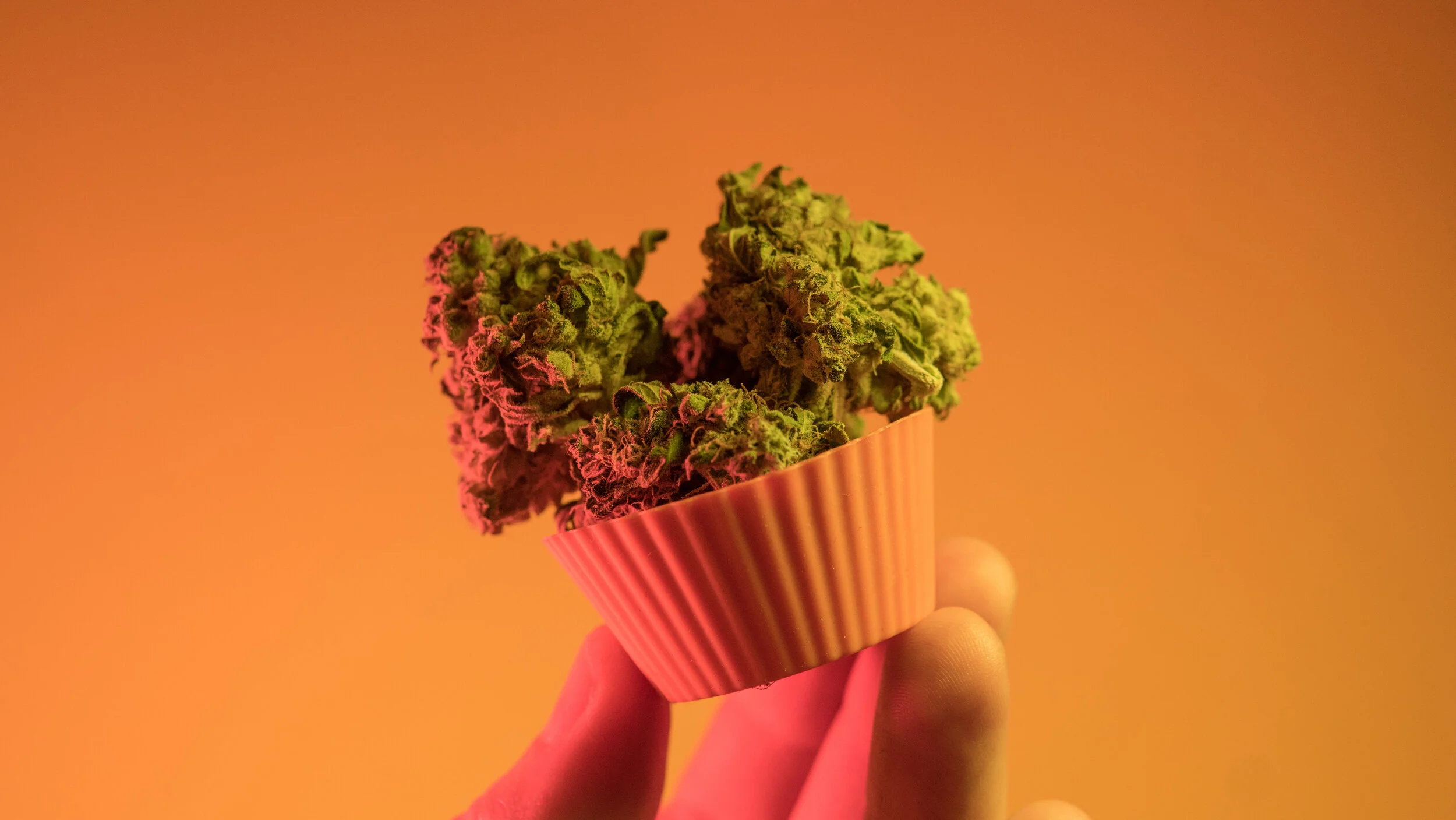 Dosing Edibles: Finding What's Right for You