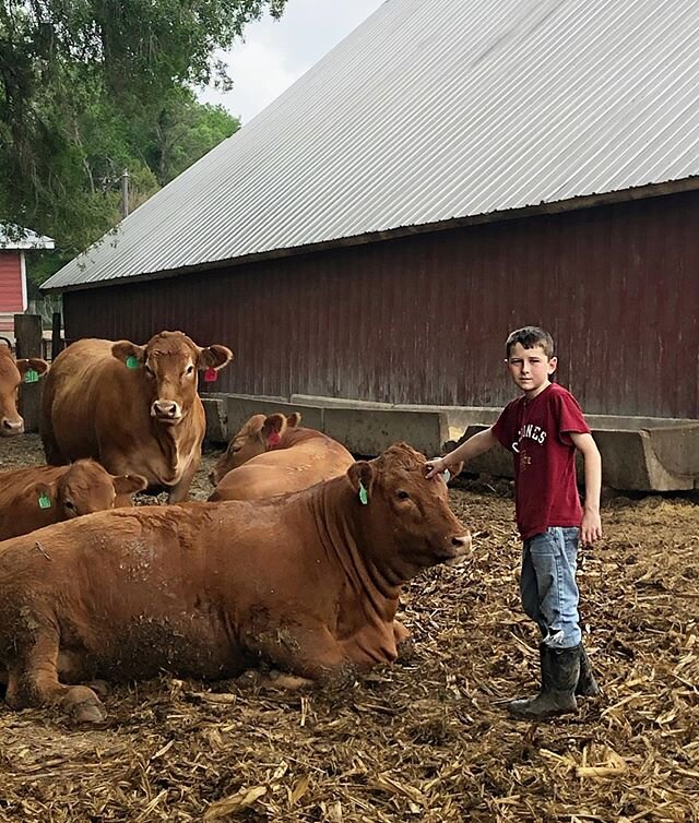 The world continues to feel surreal, (prom and baseball were cancelled this week), but we continue our work on the farm.  Here is Teagen with his favorite calf which acts more like a dog around him except for the fact that he is a HUGE dog😂

We will