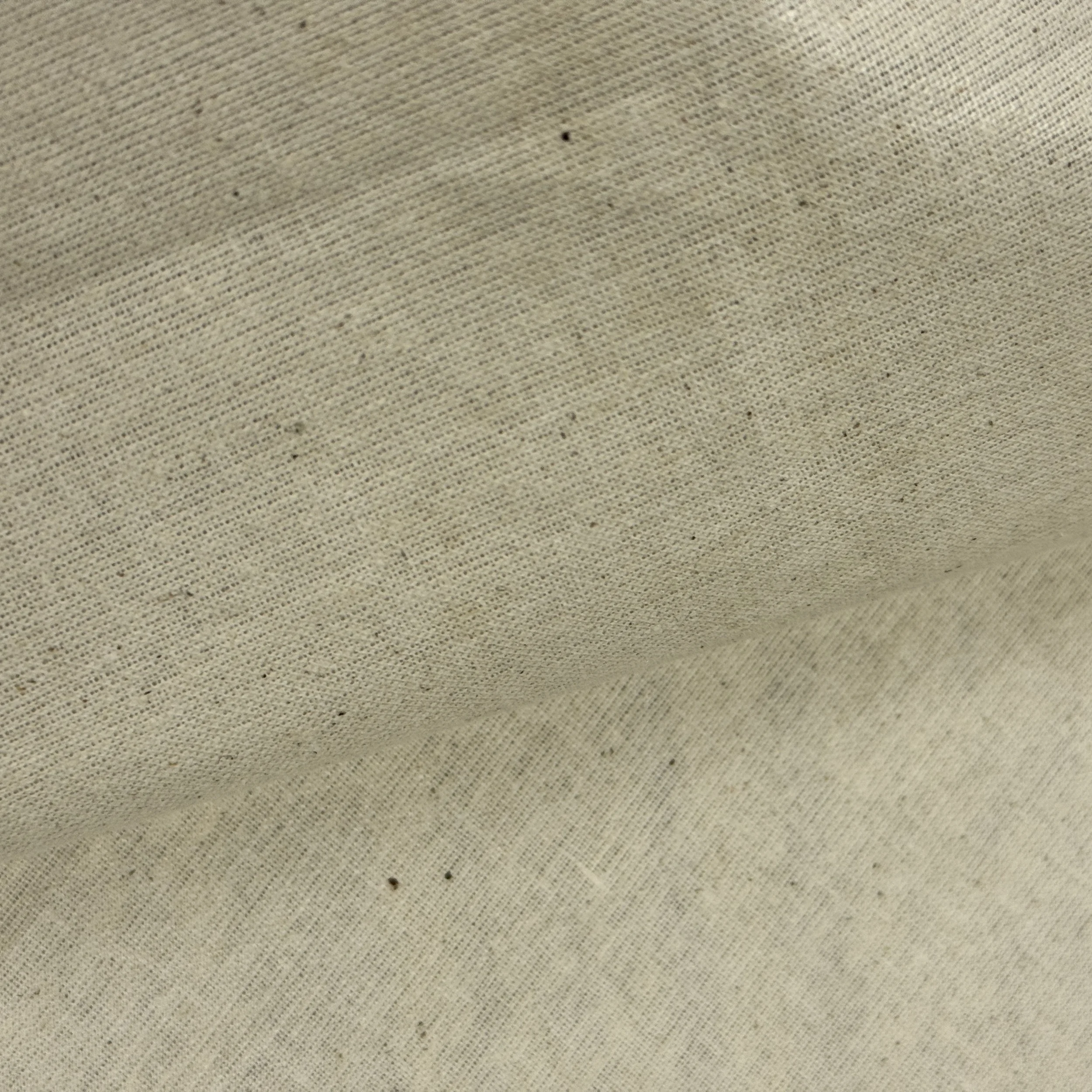 UC 901611 - SUPERIOR CALICO  (5).JPG