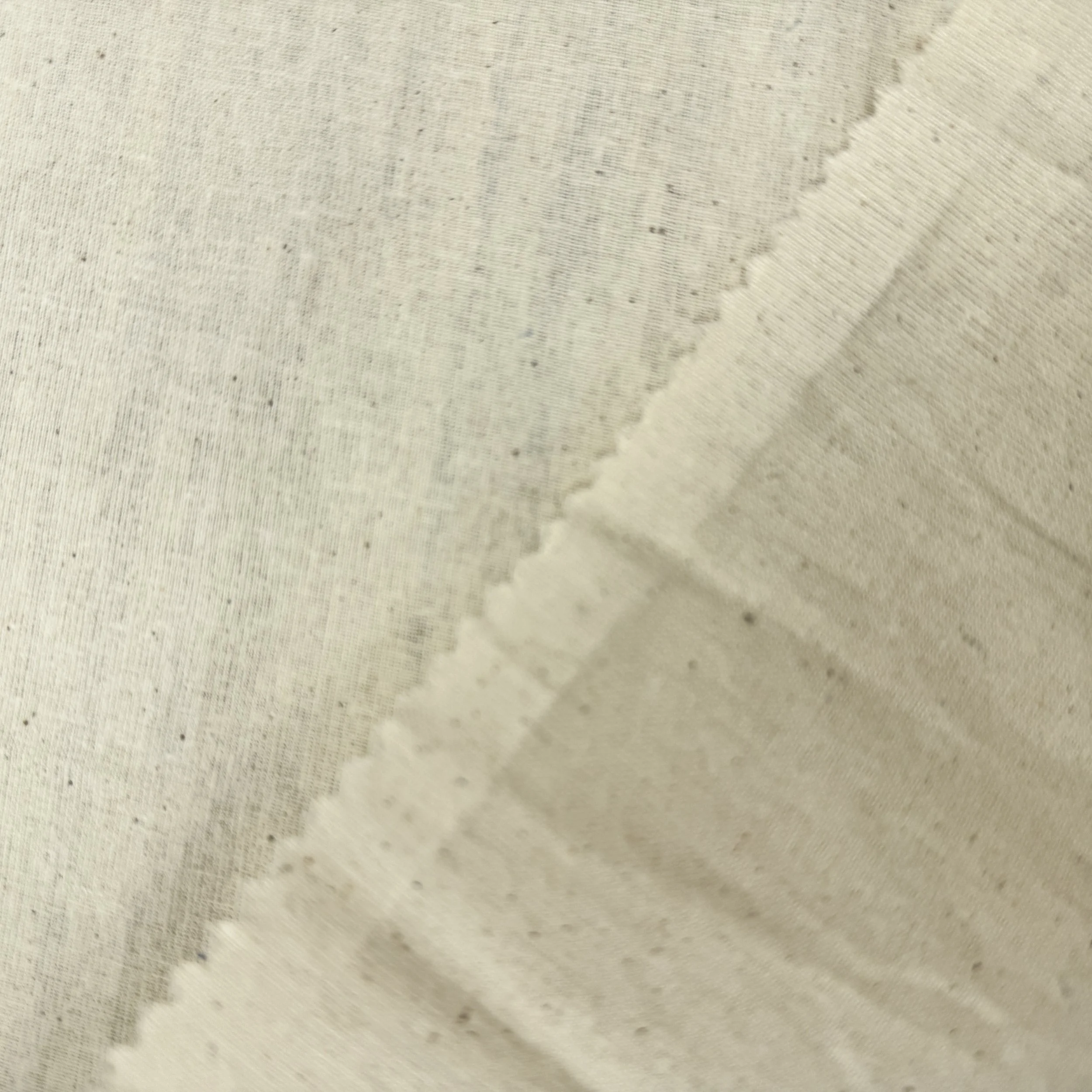 UC 901611 - SUPERIOR CALICO  (2).JPG