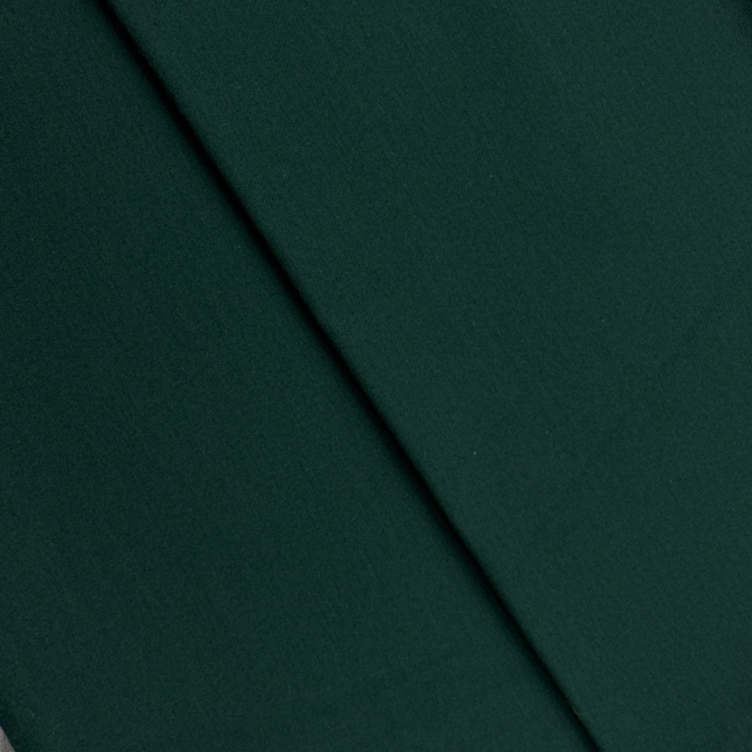UC 902633 - EVERGREEN.JPG