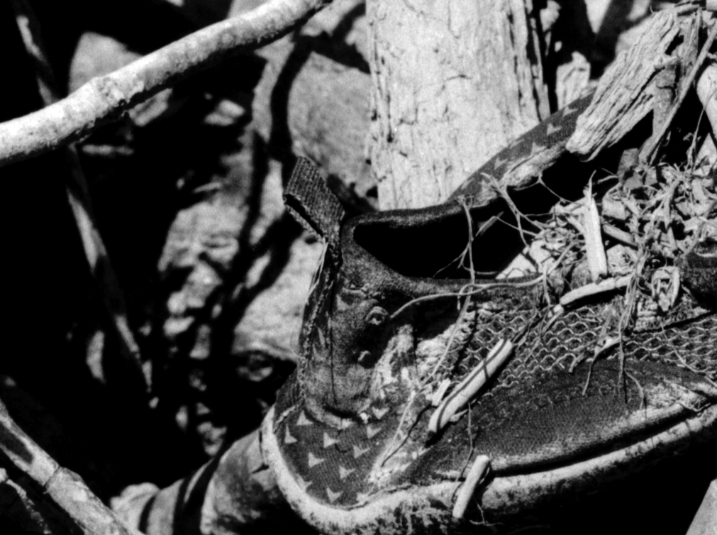 Same image at 200% zoom cropped into the bottom left corner of the image.