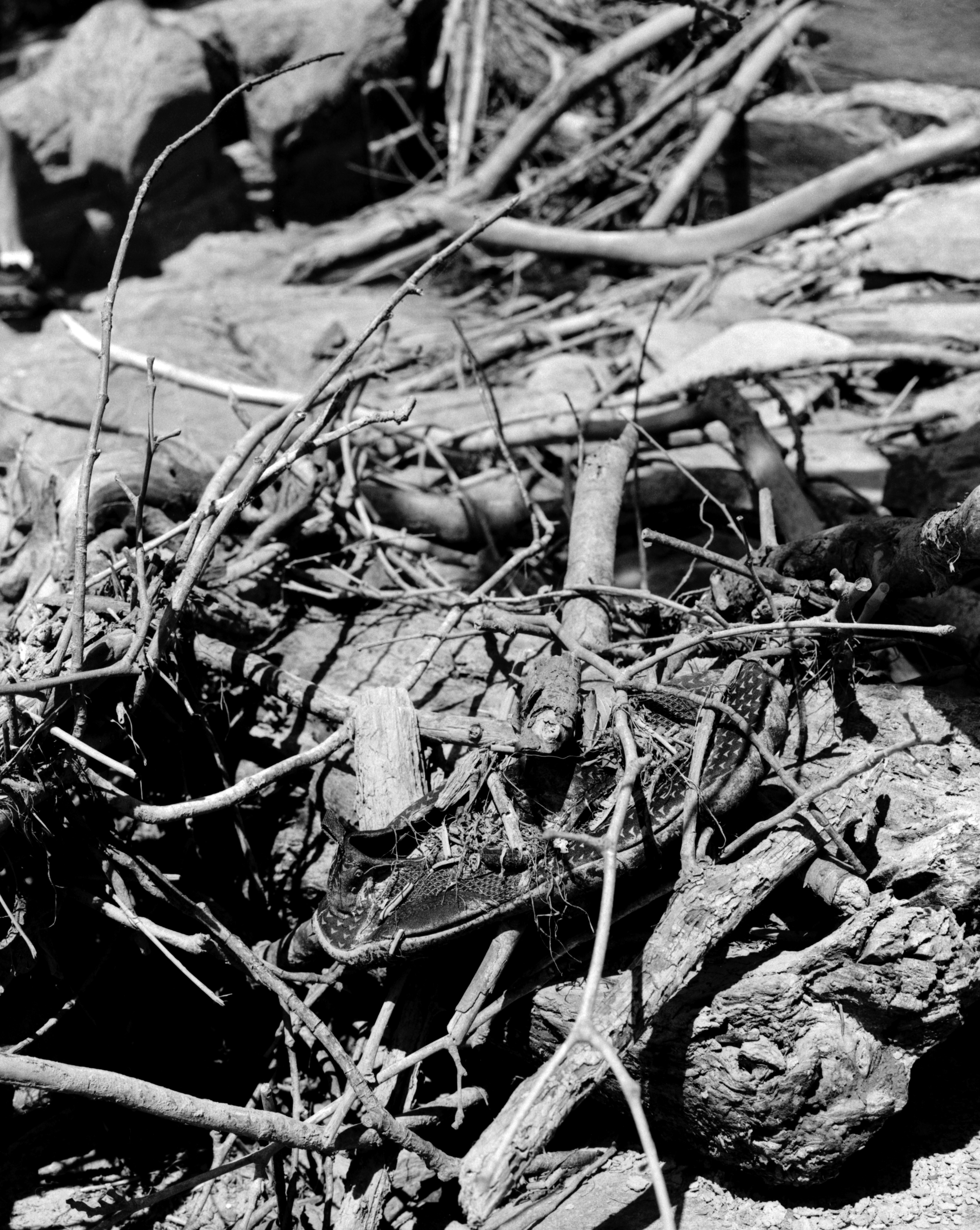 Image shot on Kodak Tri-X 400 and scanned with an Epson 3200 Photo.