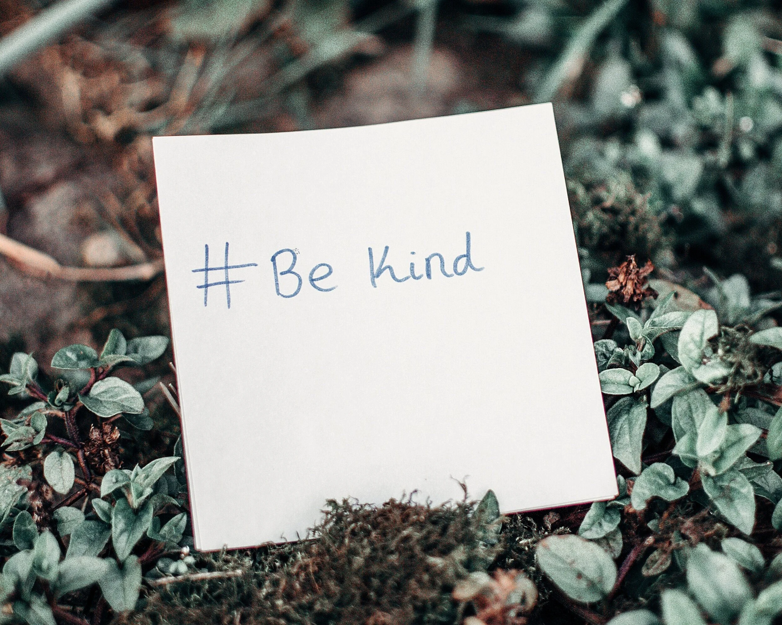 Random Acts of Kindness