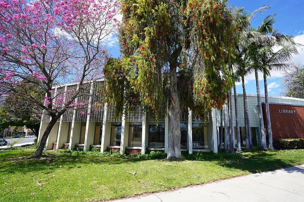 Online Book Kits — Glendale Library, Arts & Culture