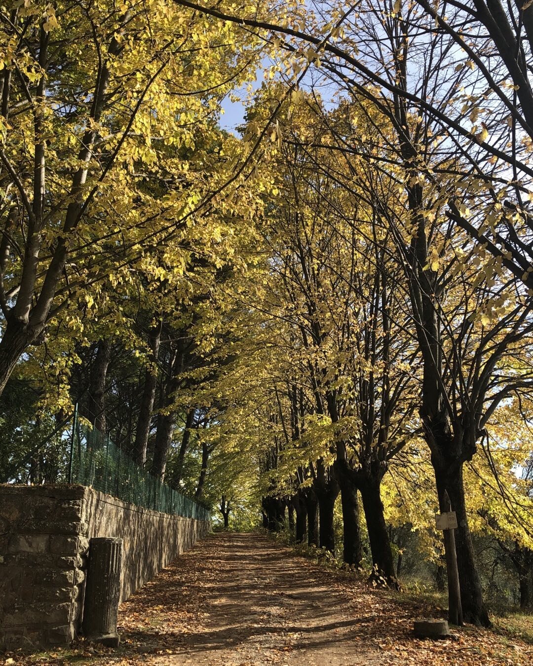 Fall in Tuscany, a great time for walking in the countryside from village to village. Join us late fall or early spring. Farm to table dining, cheese and wine tastings, cooking classes and more. Private guide and transportation. #discovertuscanybiz#w