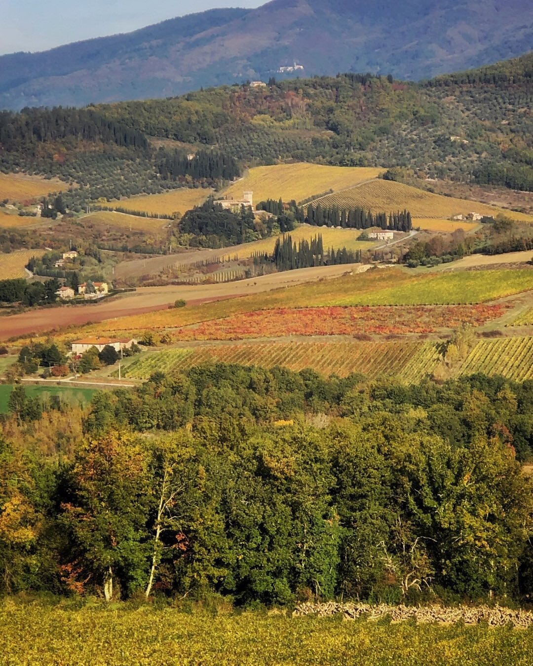 Tuscany is waiting for you! The fall season is a great time to be here, after the wine harvest, tasting new olive oil along with the seasonal foods. #travelitaly🇮🇹
#traveltuscany
#discovertuscanybiz
#foodtoursintuscany
#foodandwinetoursitaly
#hikin