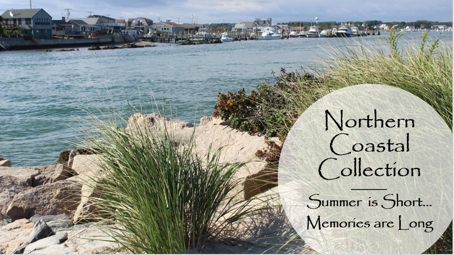 Northern Coastal Collection.jpg