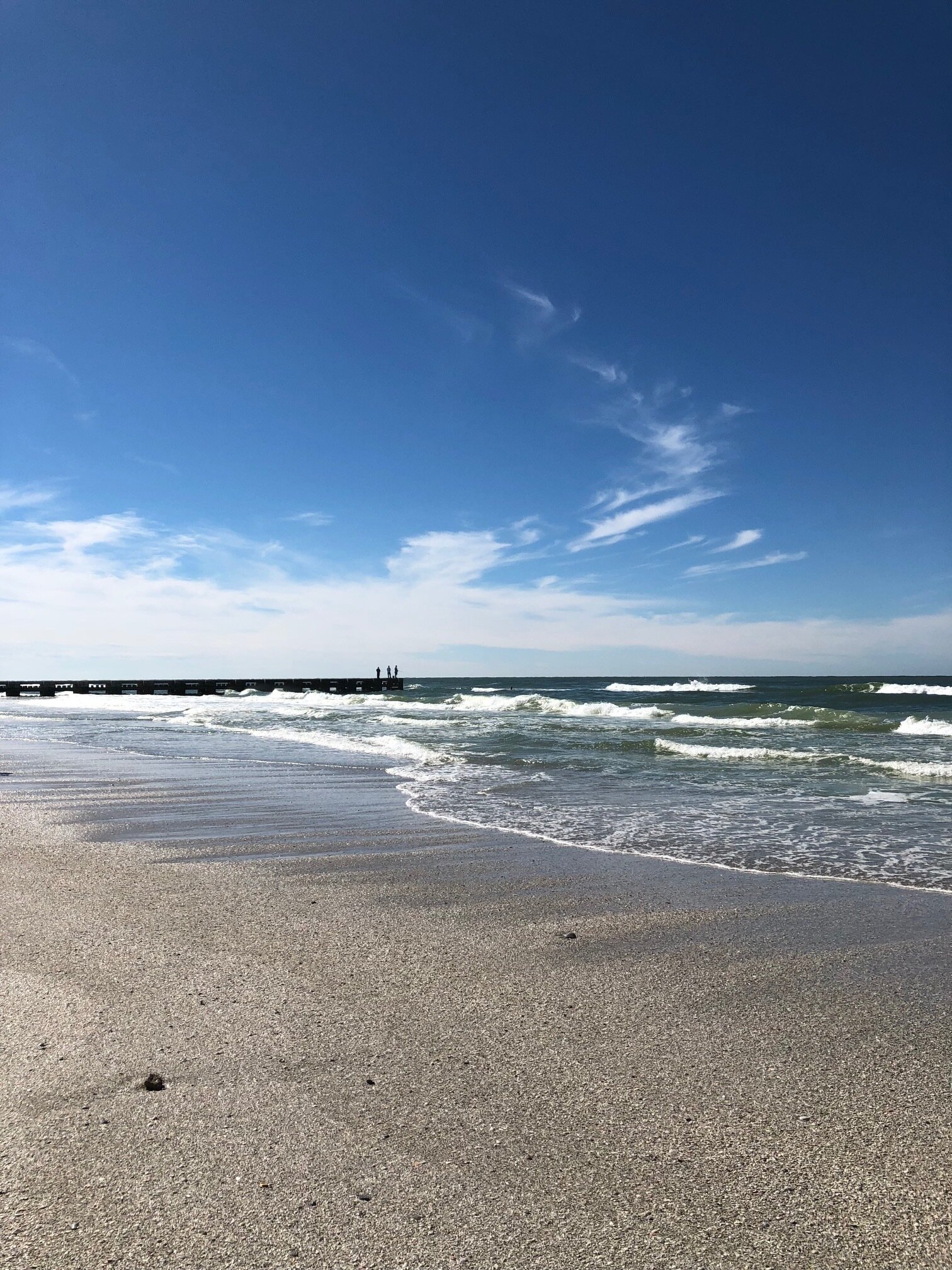 Feel Connected. Bradenton