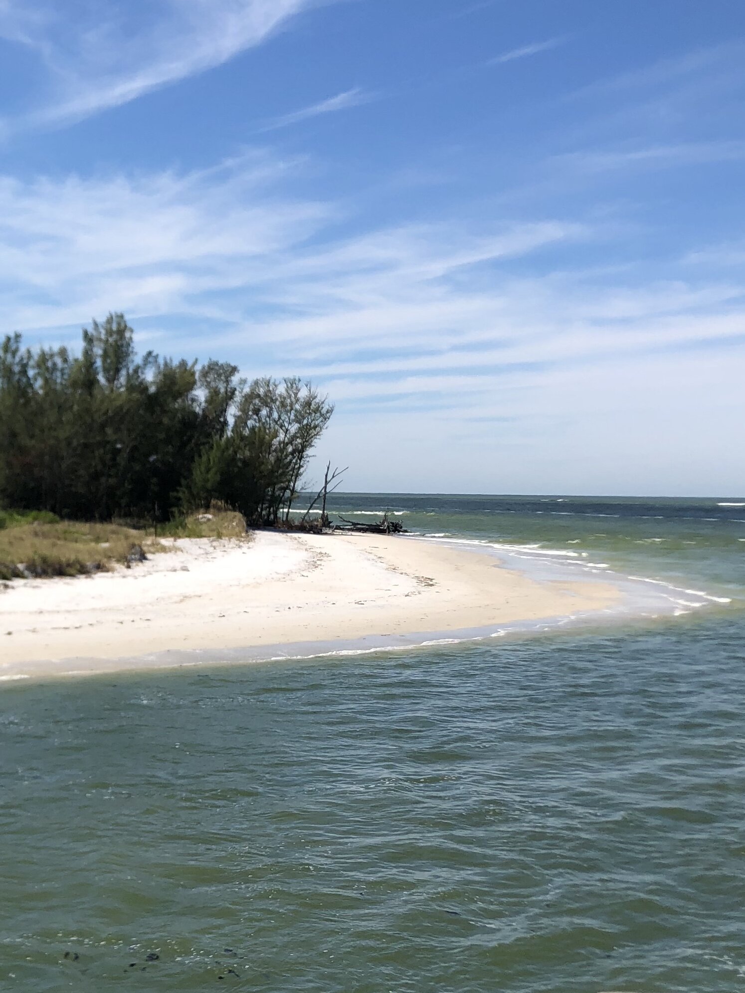 Set Sail Longboat Key