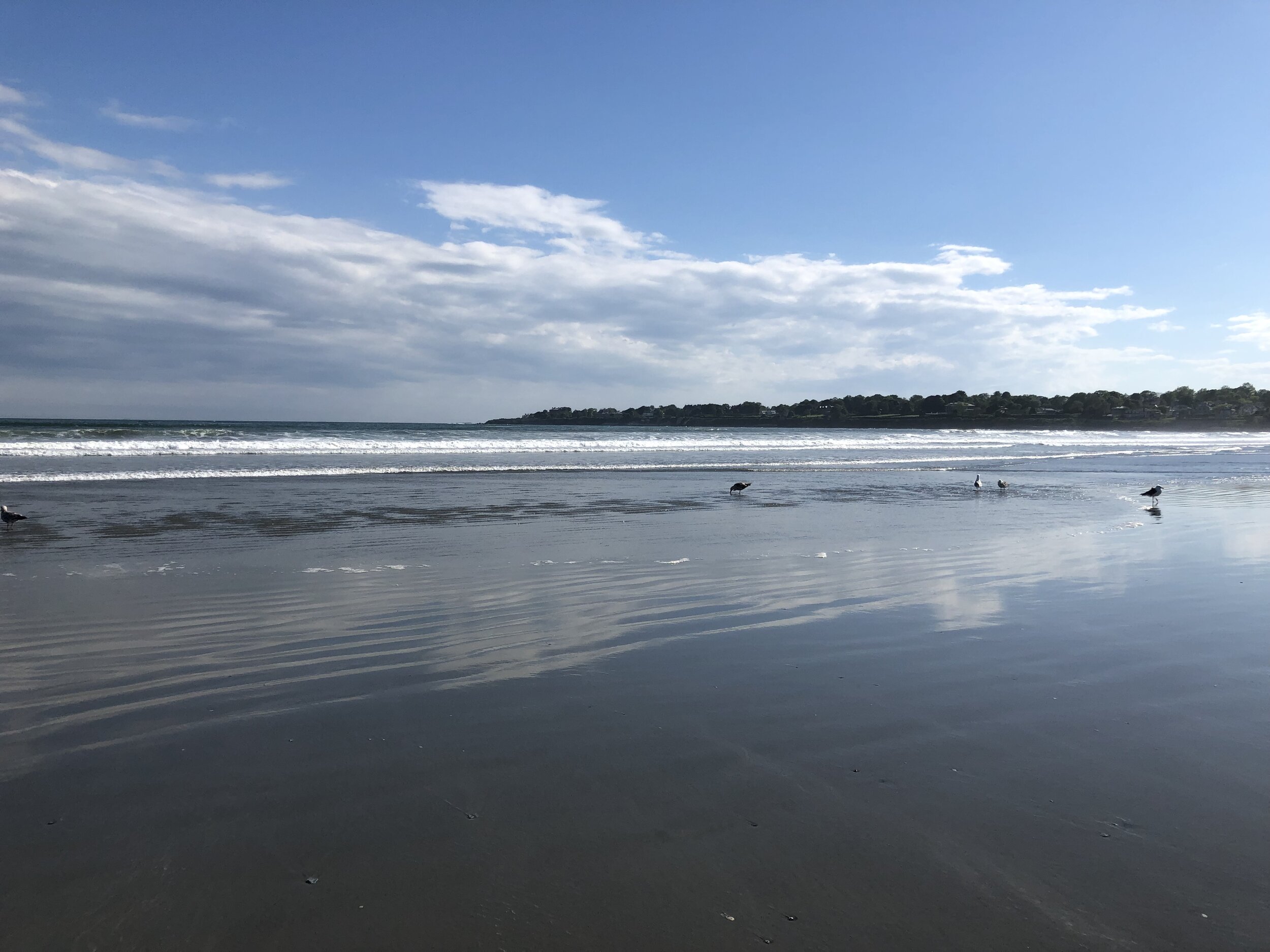 Reflections in a Tidal Pool. Easton's Beach, Newport