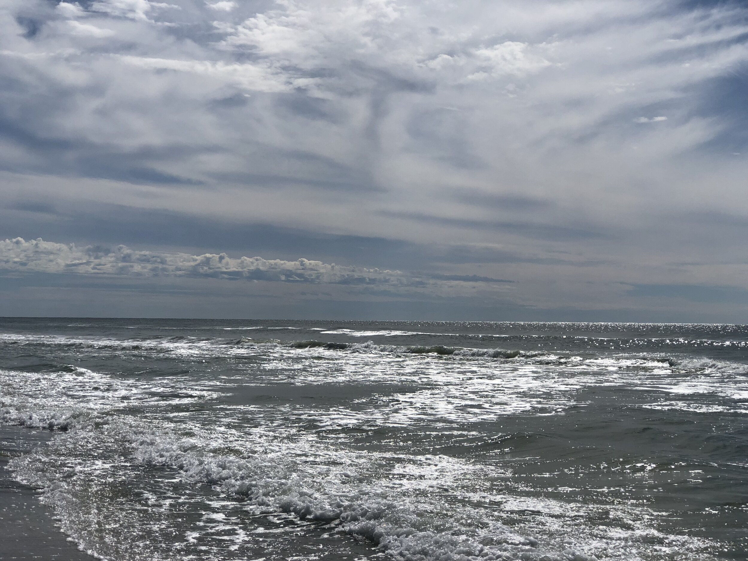 Hear the Serenade. Longboat Key