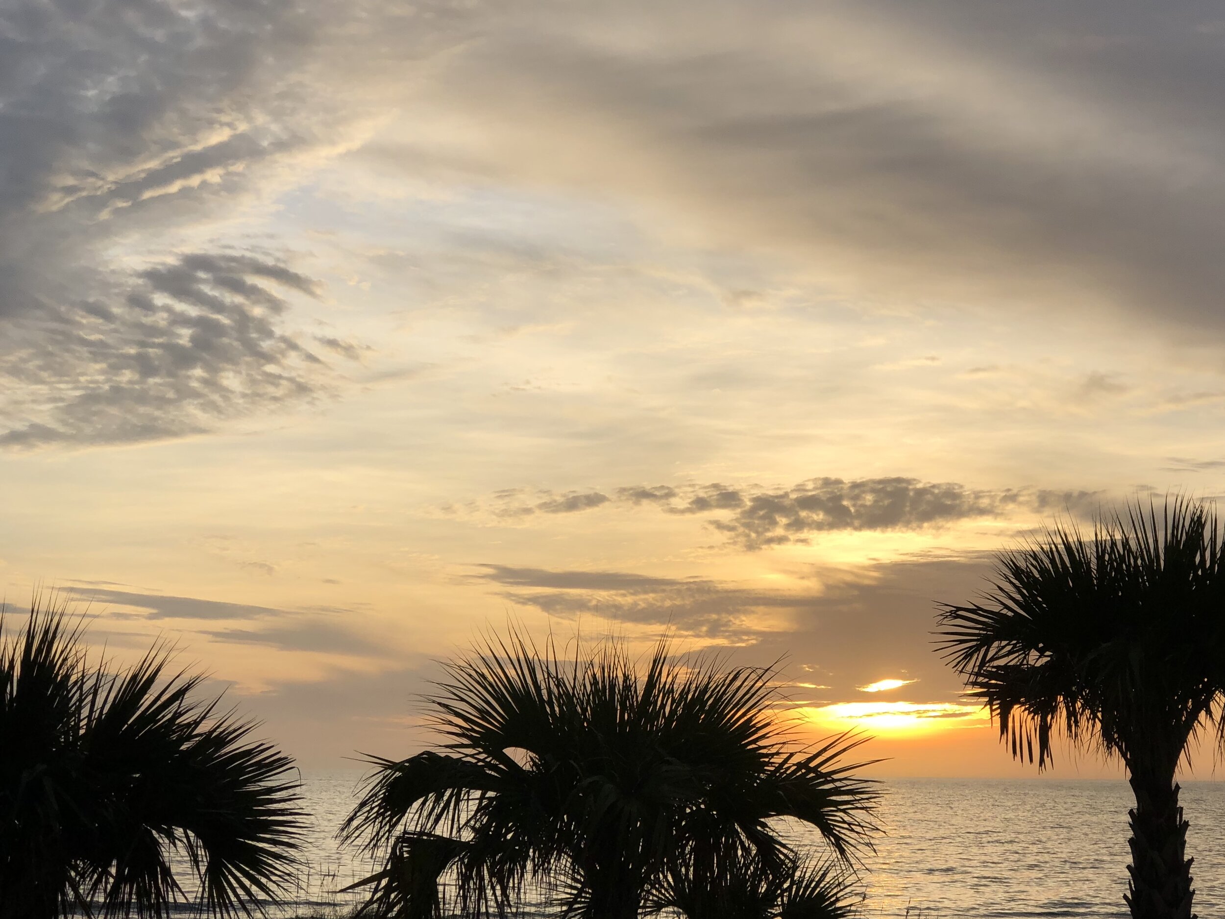 Today, Tomorrow, Forever...Longboat Key