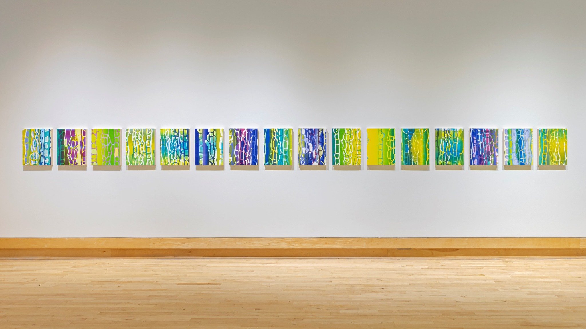 Melontypes on display at The Varley Art Gallery of Markham (2025)