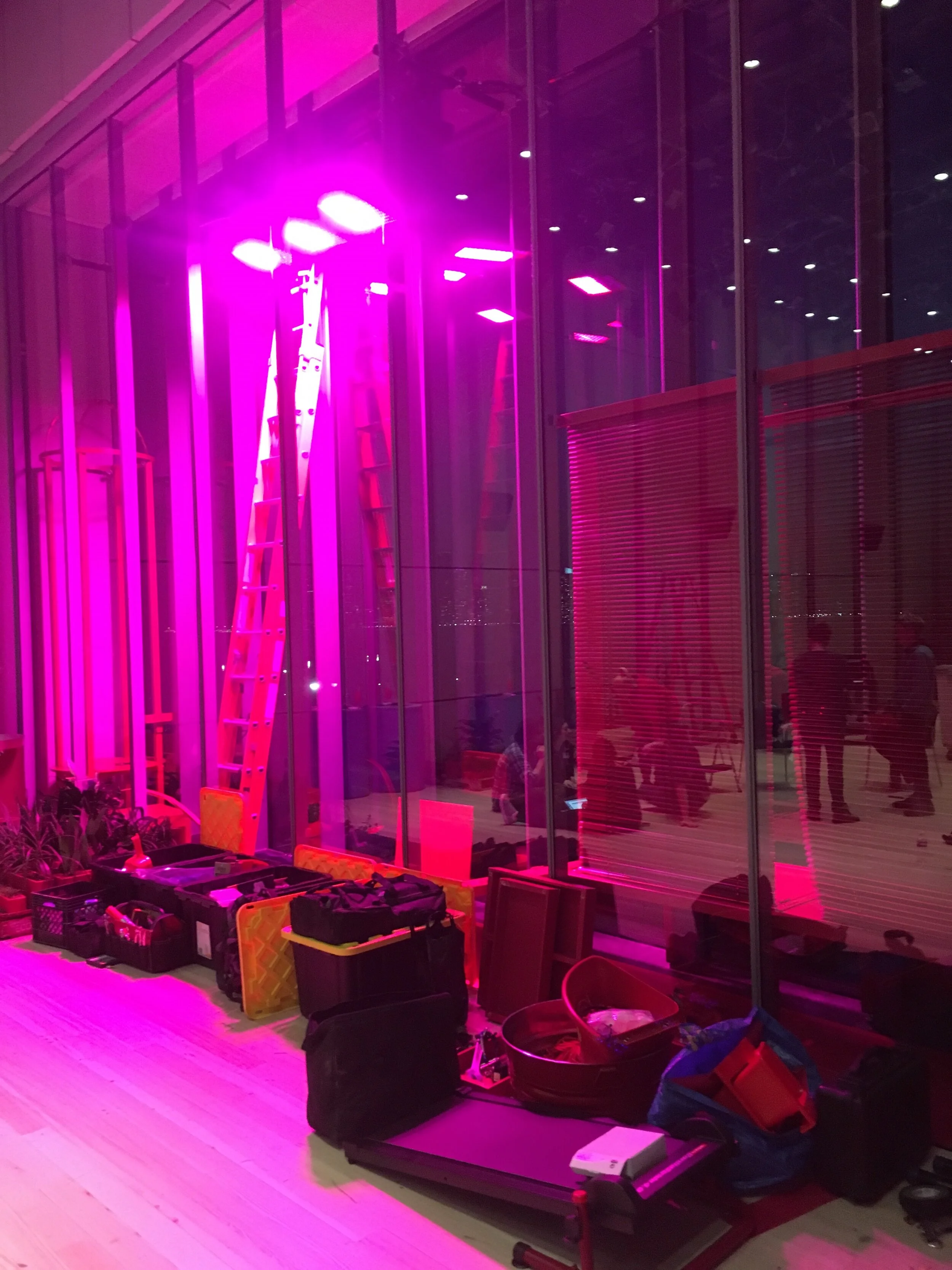 2017-02-05 17.58.15.jpg