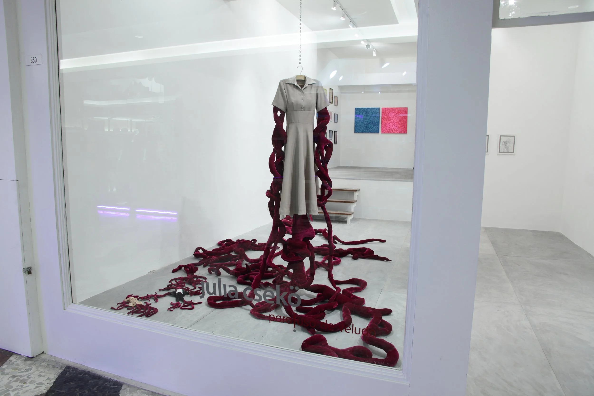 Obra de arte © Julia Csekö_Foto © Wilton Montenegro 0042.JPG