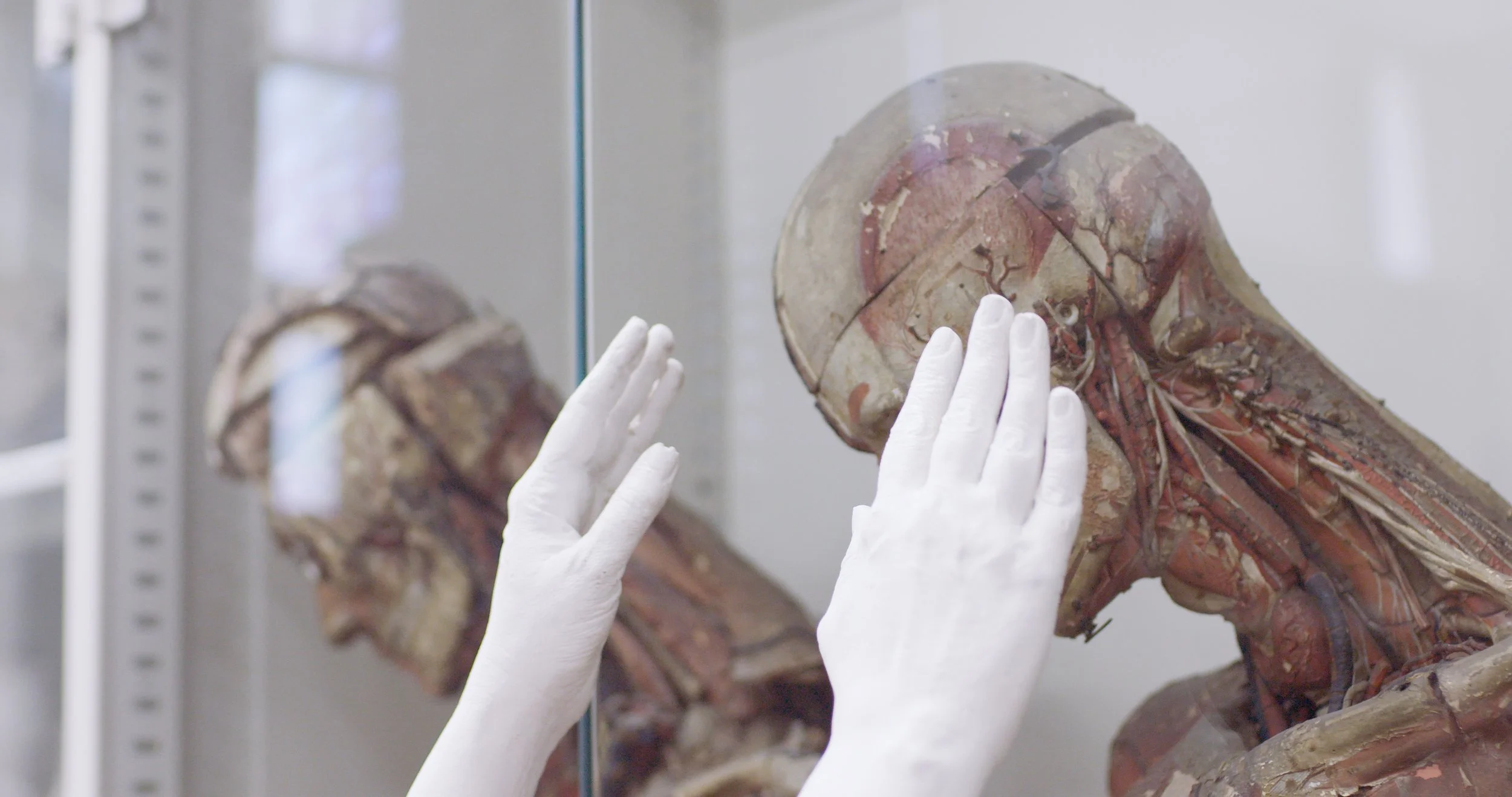 MaoModeloAnatomico.jpg