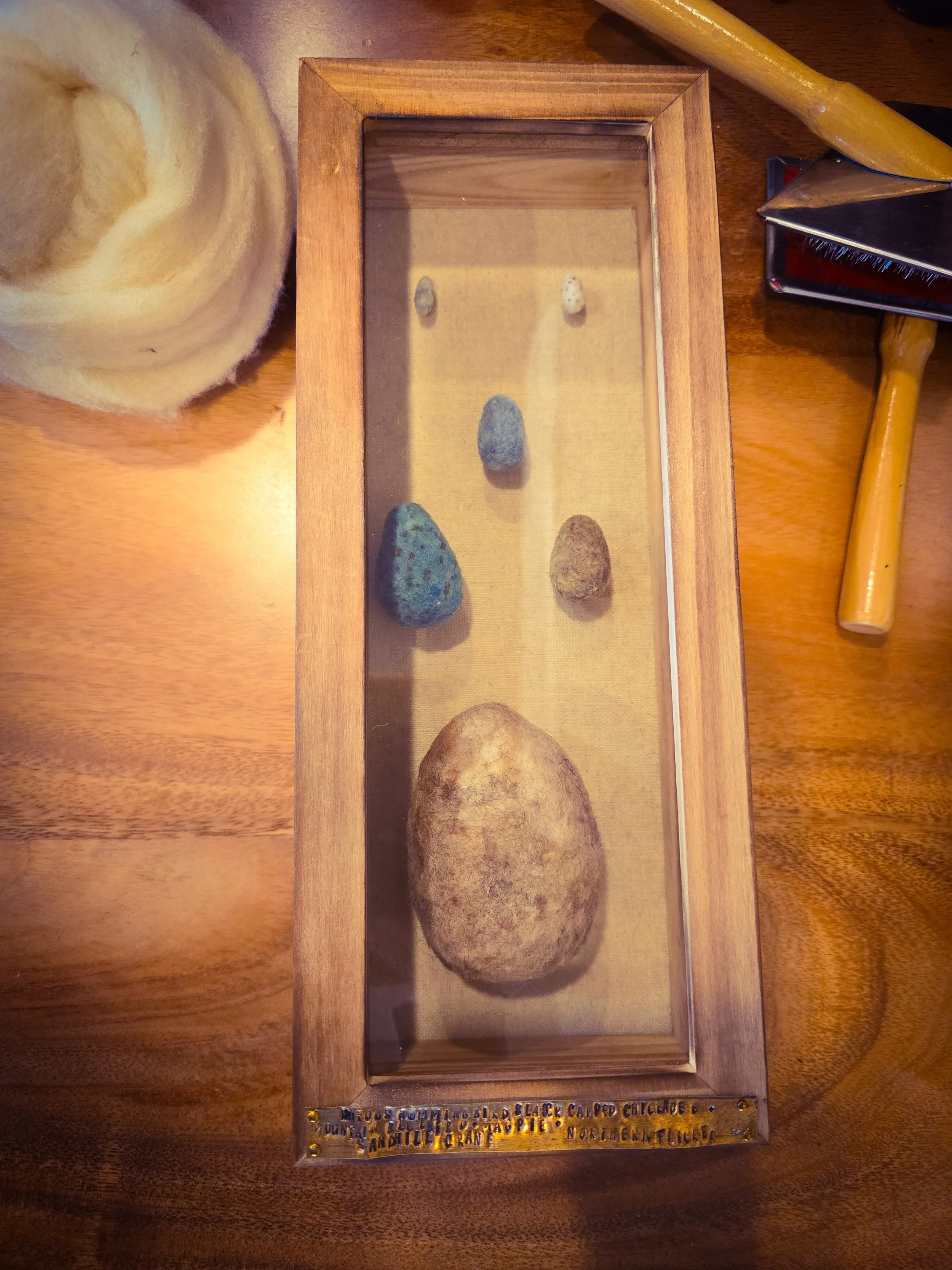 From Hummingbird to Crane