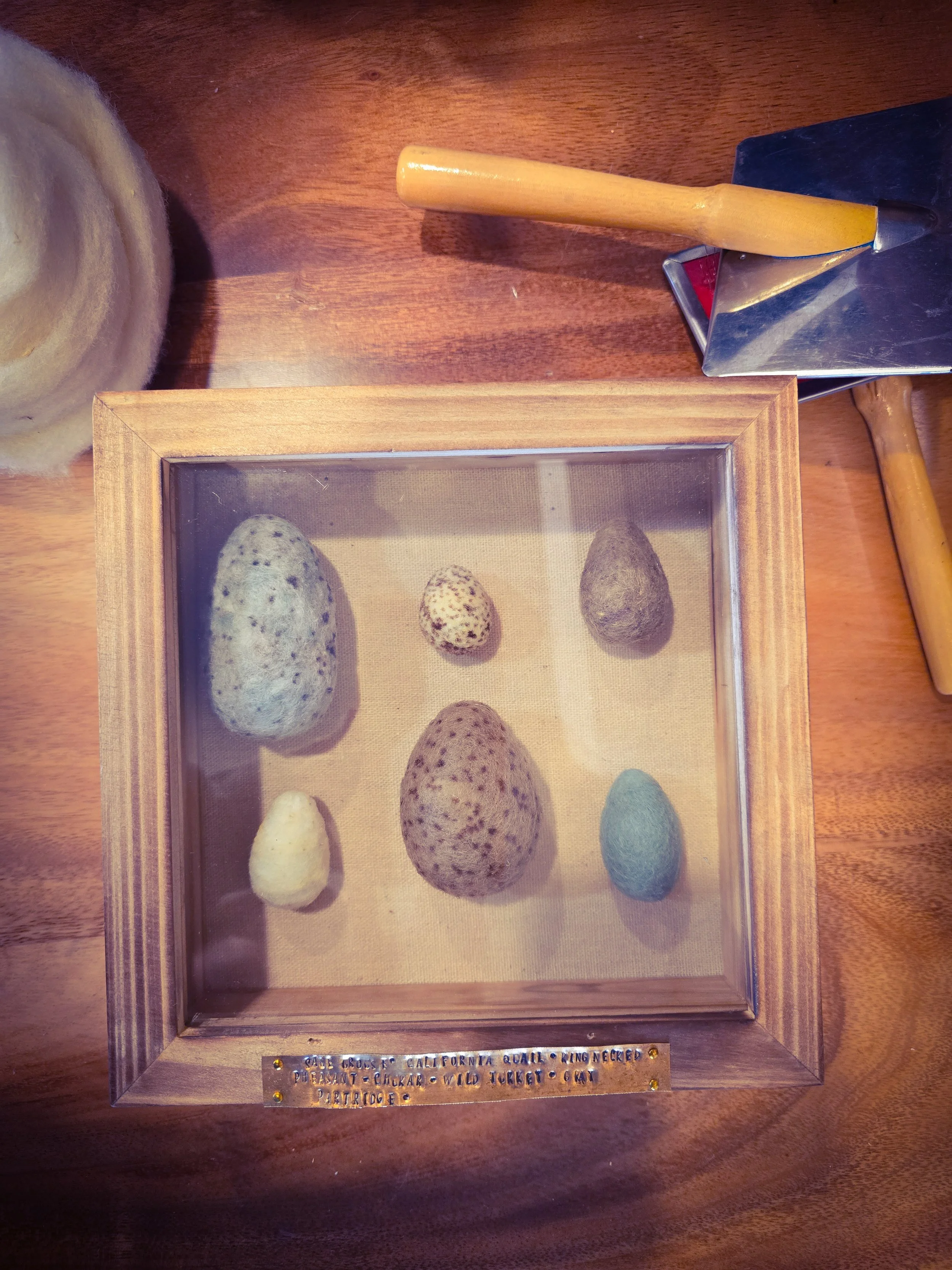 Upland Game Bird Egg Study