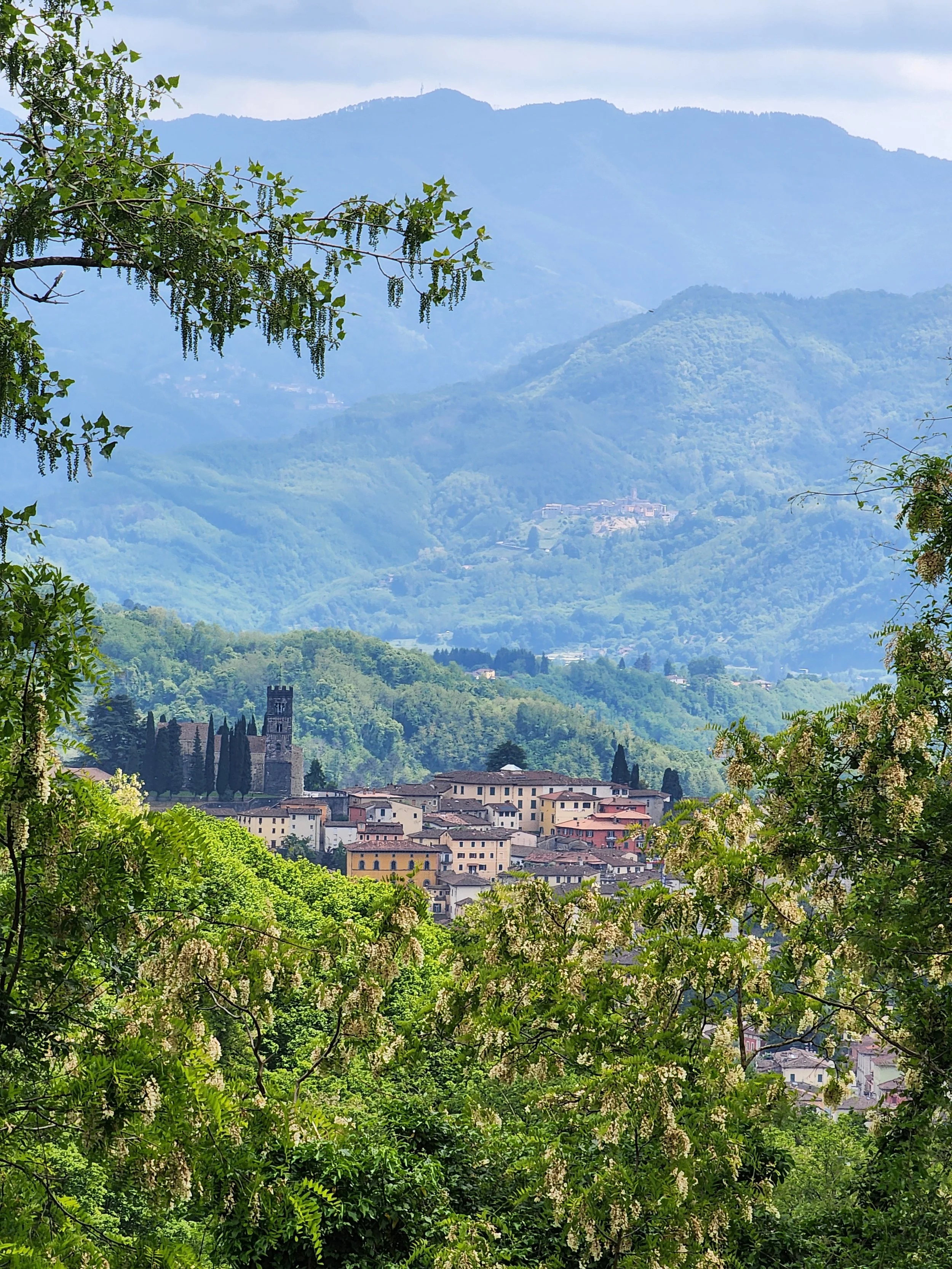 The beautiful scenery of Lucca