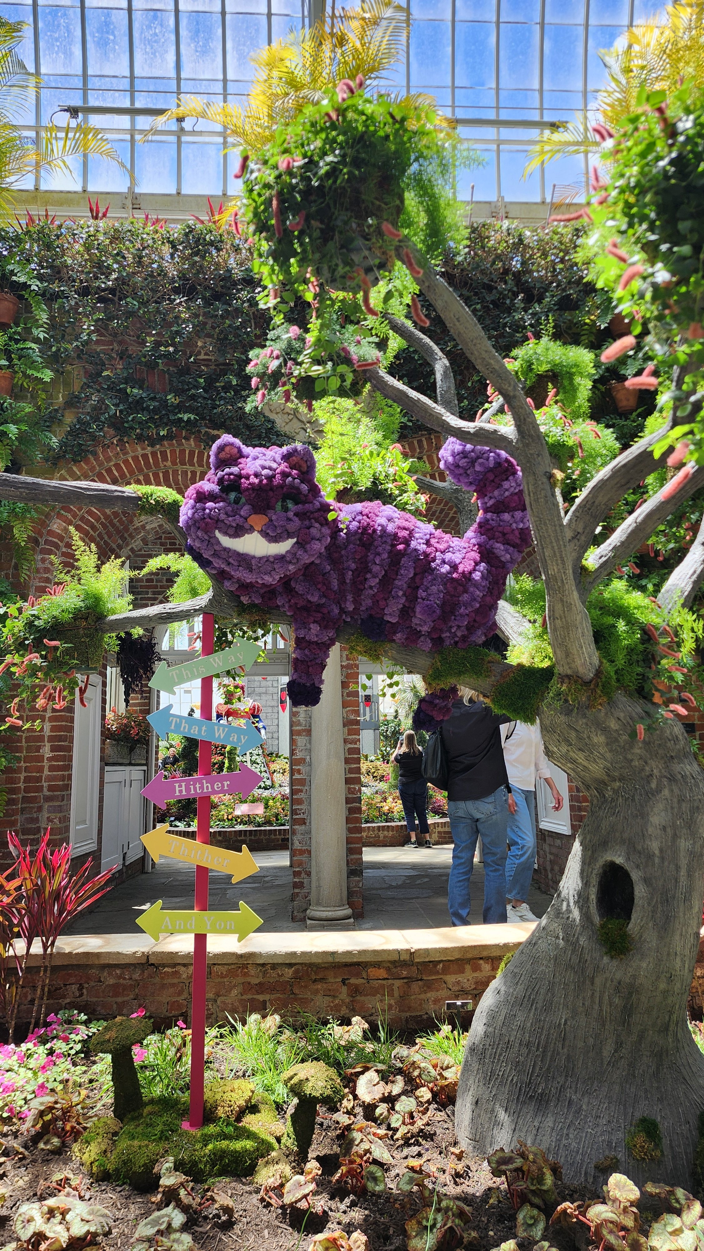 Phipps' Summer Show: Alice's Adventures in Wonderland