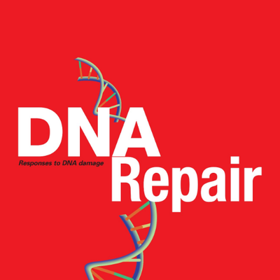 DNA Repair Article Published