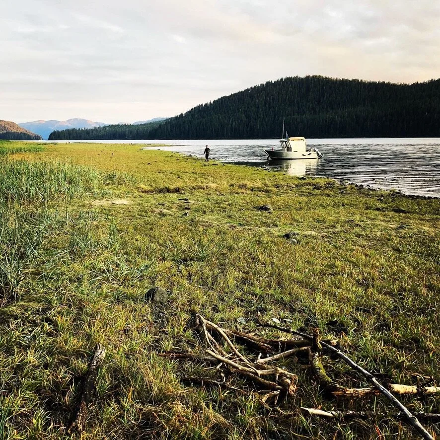 Experience Commercial Fishing in Alaska