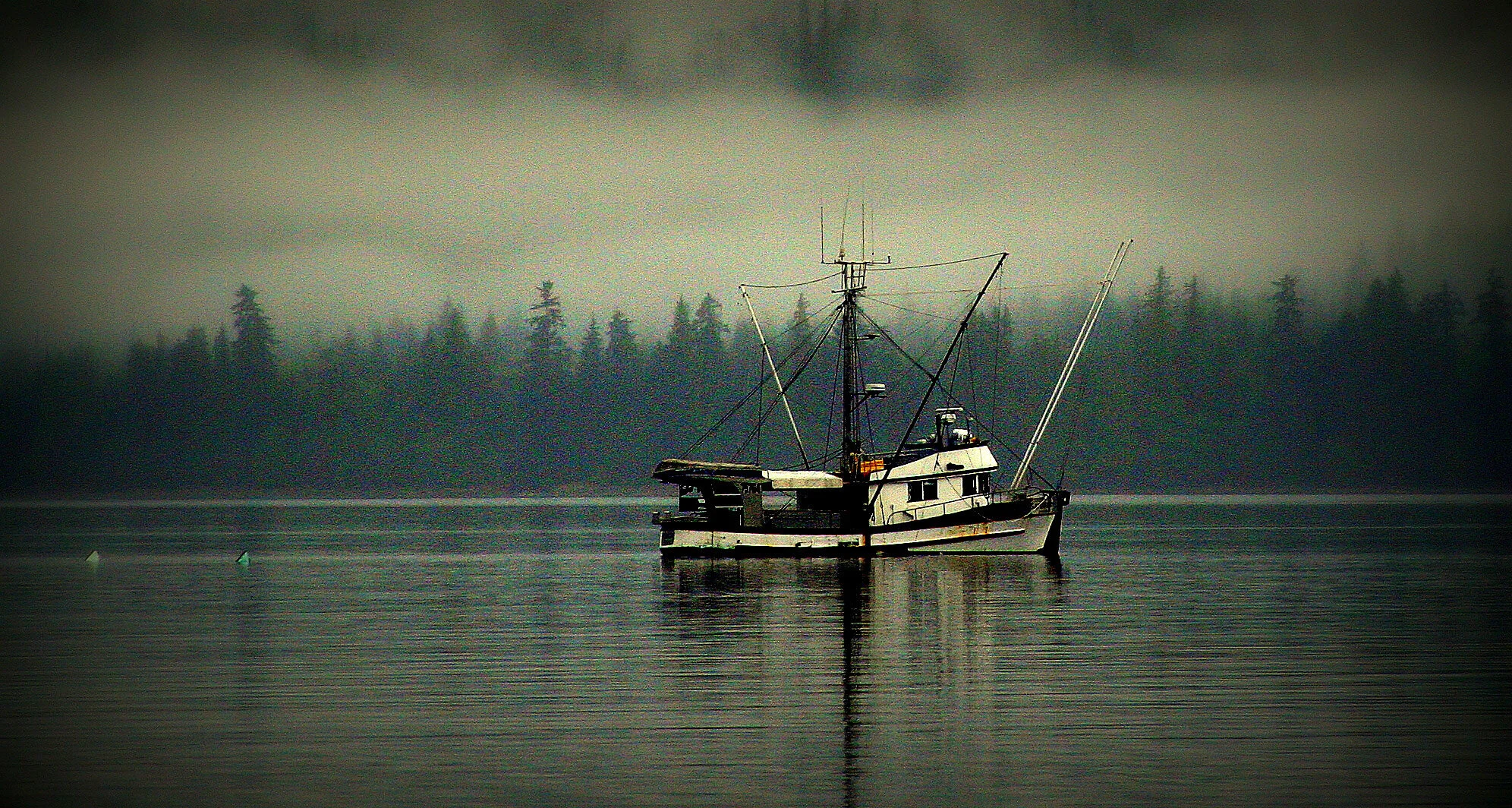 Experience Commercial Fishing in Alaska